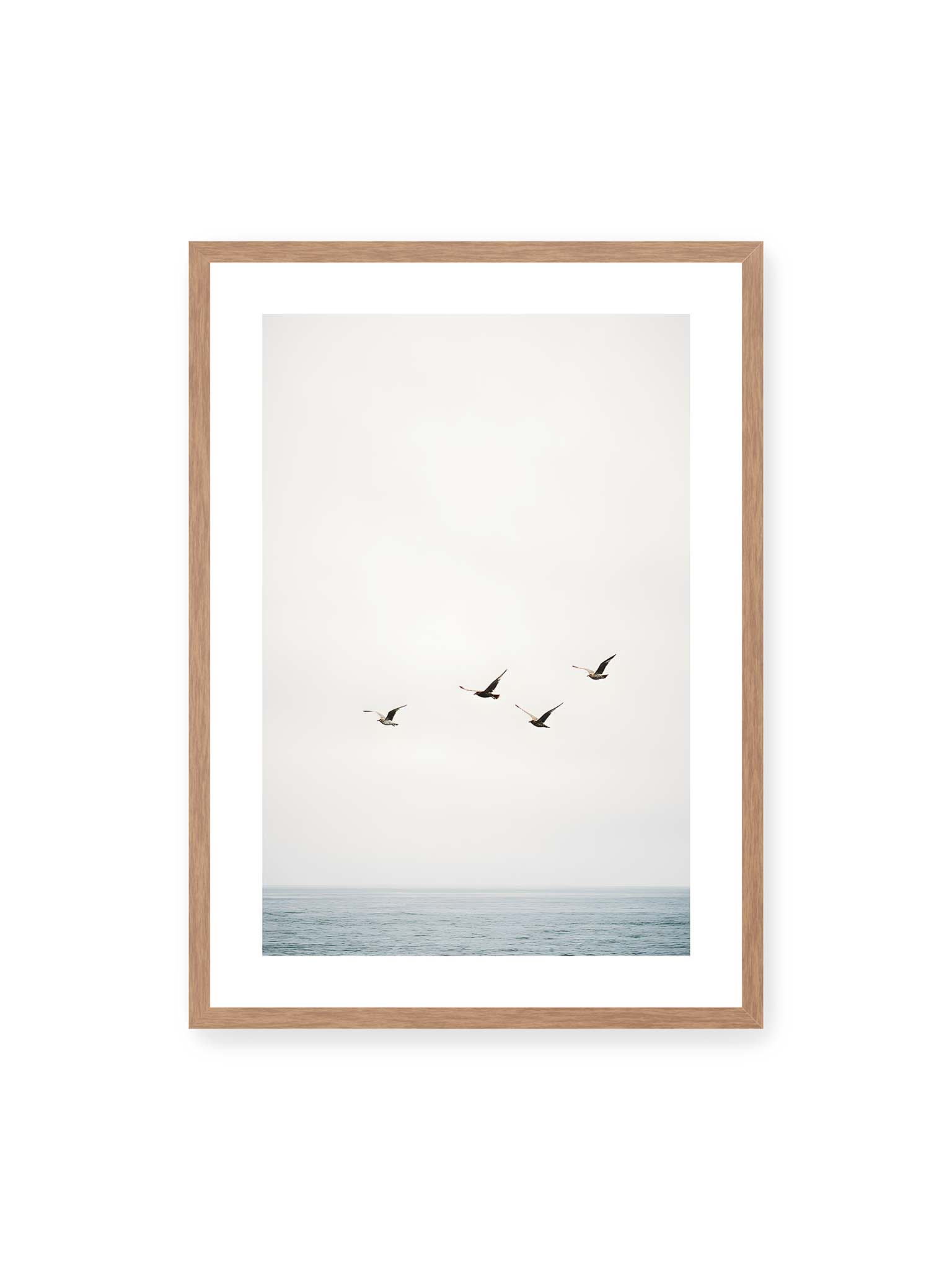 50x70 cm, weißer Galerie-Rand, Eichenrahmen – Vier Vögel fliegen in Formation über ein ruhiges Meer unter einem weiten, hellen Himmel.