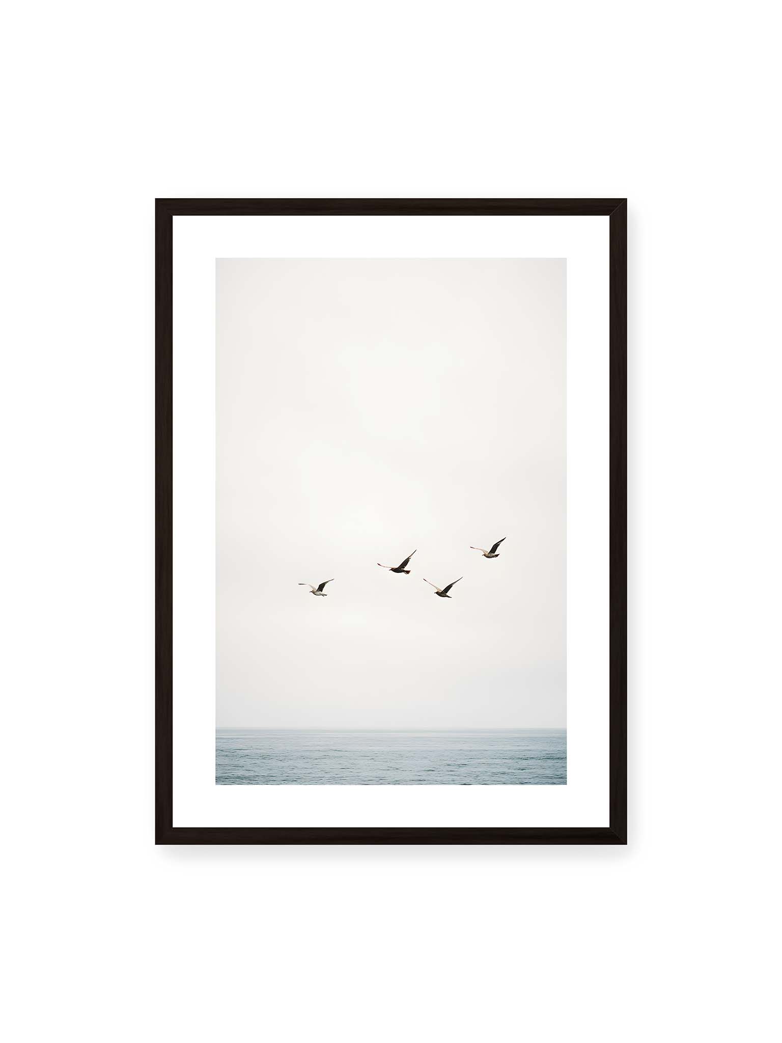 50x70 cm, weißer Galerie-Rand, schwarzer Rahmen – Vier Vögel fliegen in Formation über ein ruhiges Meer unter einem weiten, hellen Himmel.
