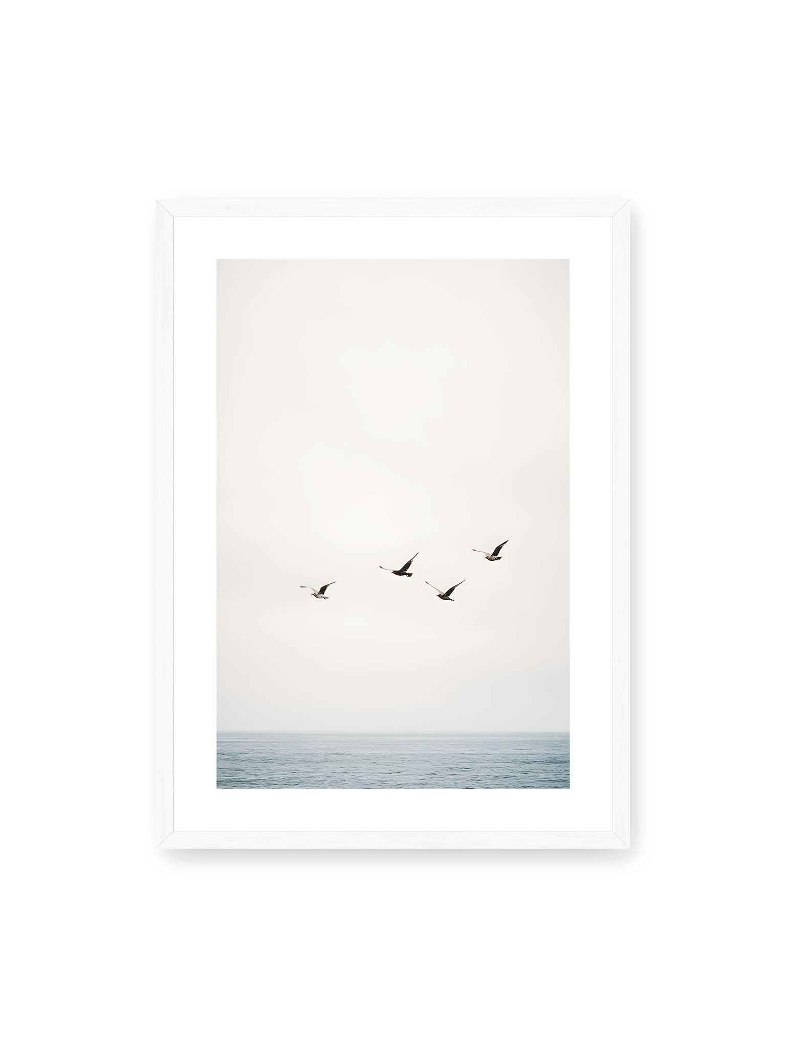 50x70 cm, weißer Galerie-Rand, weißer Rahmen – Vier Vögel fliegen in Formation über ein ruhiges Meer unter einem weiten, hellen Himmel.