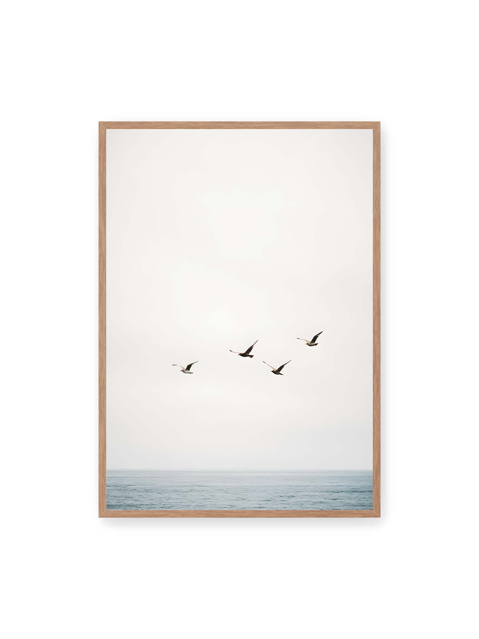 70x100 cm, Eichenrahmen – Vier Vögel fliegen in Formation über ein ruhiges Meer unter einem weiten, hellen Himmel.