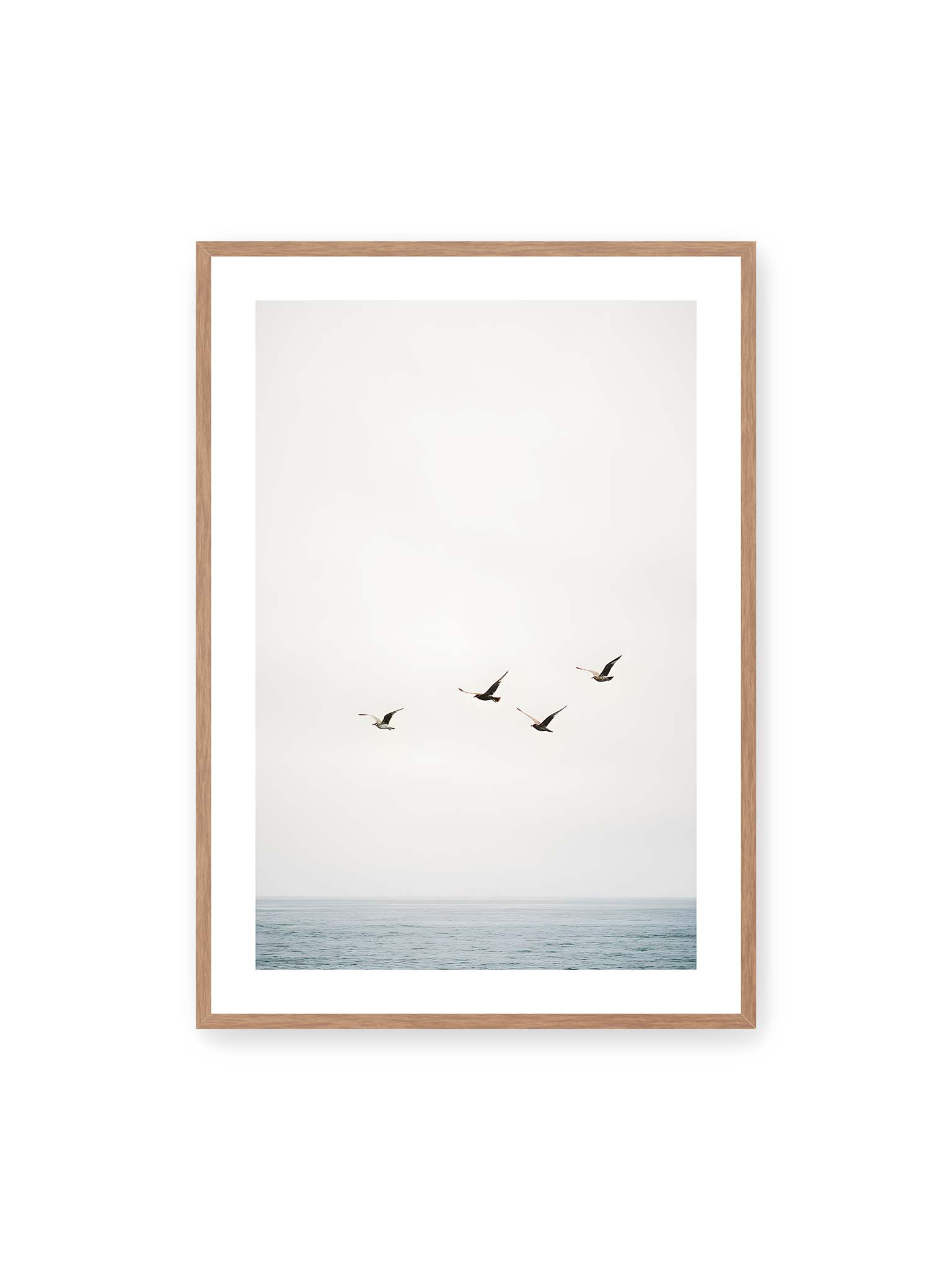 70x100 cm, weißer Galerie-Rand, Eichenrahmen – Vier Vögel fliegen in Formation über ein ruhiges Meer unter einem weiten, hellen Himmel.