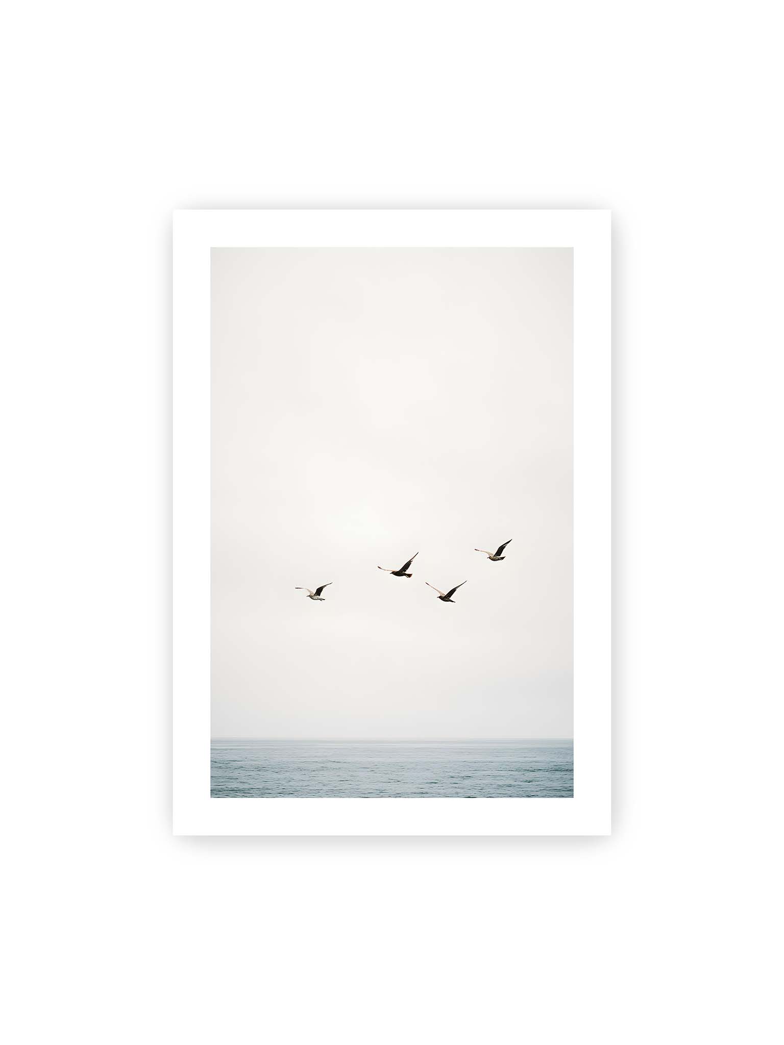 70x100 cm, weißer Galerie-Rand – Vier Vögel fliegen in Formation über ein ruhiges Meer unter einem weiten, hellen Himmel.