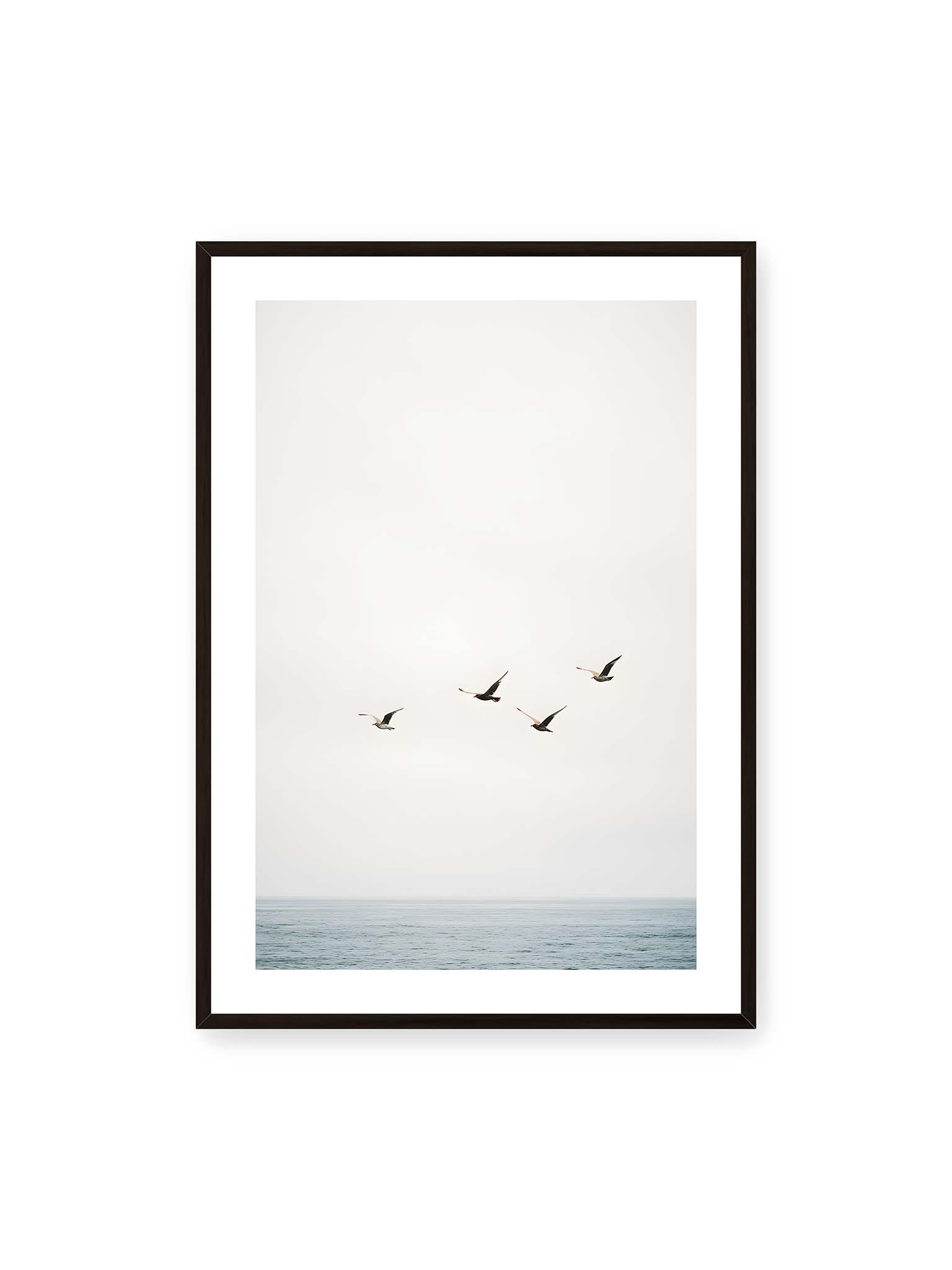 70x100 cm, weißer Galerie-Rand, schwarzer Rahmen – Vier Vögel fliegen in Formation über ein ruhiges Meer unter einem weiten, hellen Himmel.