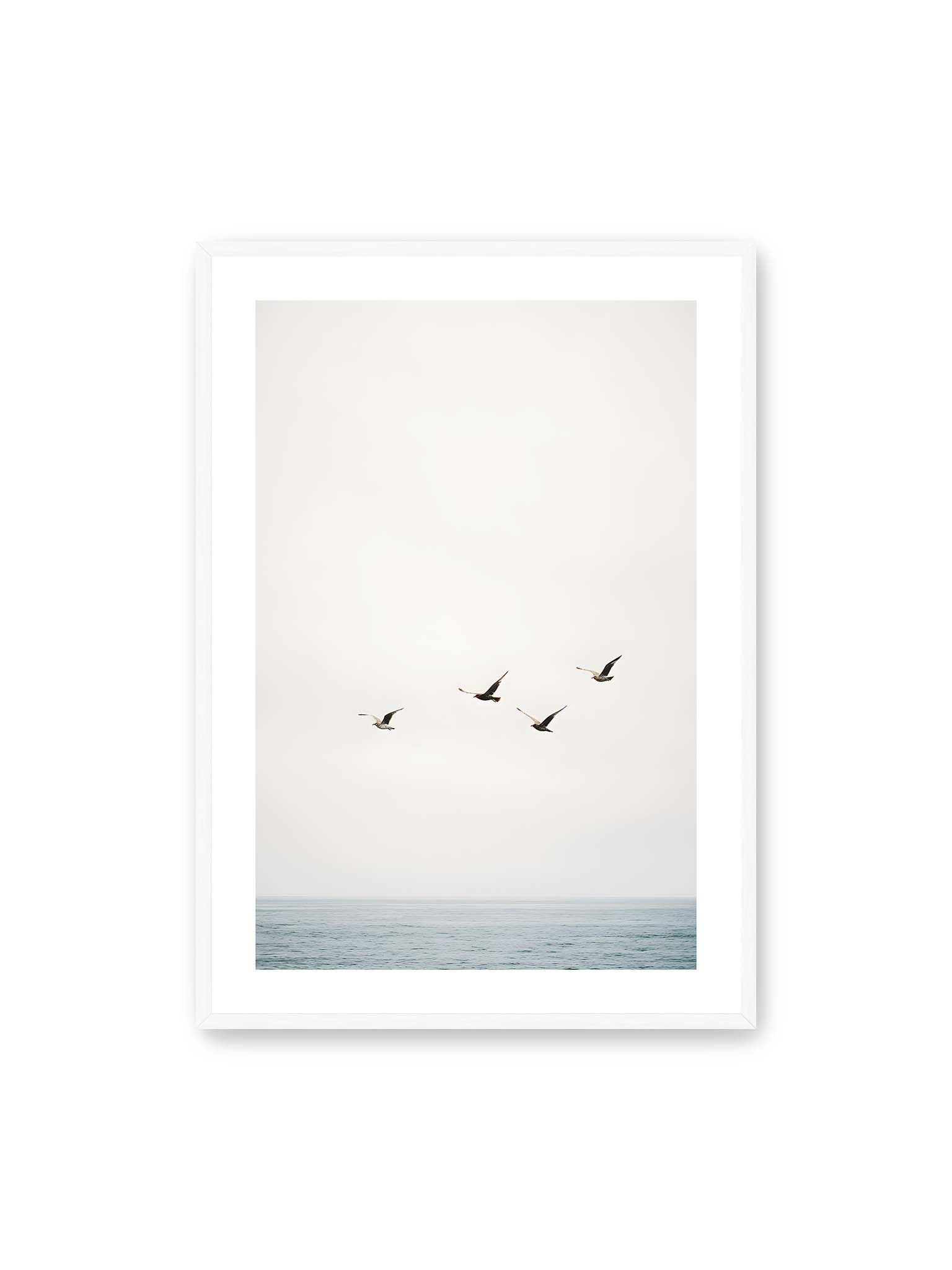 70x100 cm, weißer Galerie-Rand, weißer Rahmen – Vier Vögel fliegen in Formation über ein ruhiges Meer unter einem weiten, hellen Himmel.