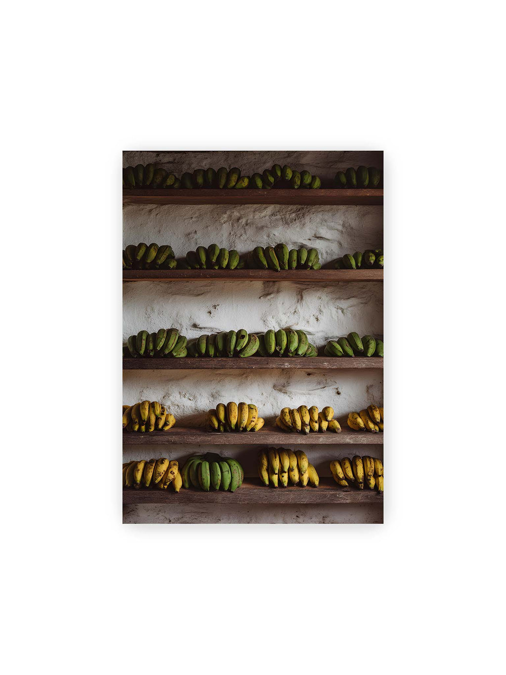21x30 cm – Bananen in Reihen auf rustikalen Holzregalen mit unterschiedlichen Reifegraden und natürlichen Farben.