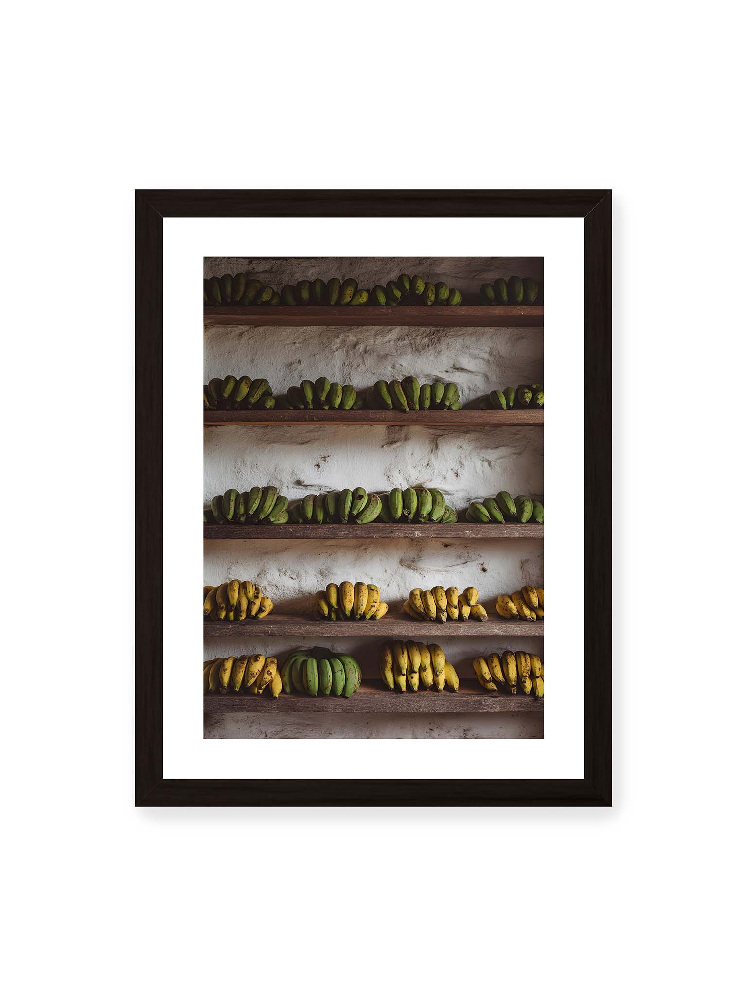 30x40 cm, weißer Galerie-Rand, schwarzer Rahmen – Bananen in Reihen auf rustikalen Holzregalen mit unterschiedlichen Reifegraden und natürlichen Farben.