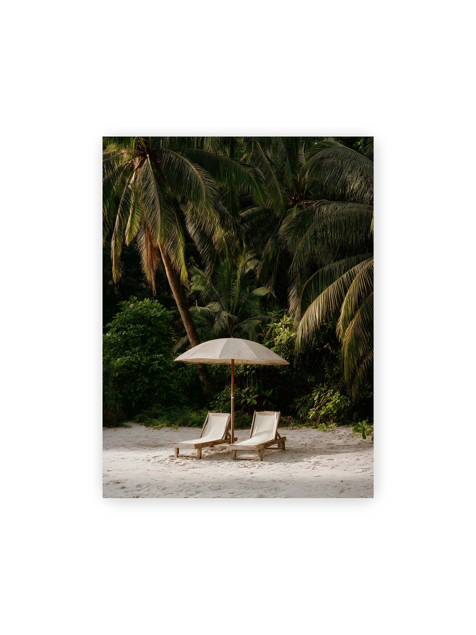 30x40 cm – Zwei Liegen unter einem Sonnenschirm am tropischen Strand mit Palmen und weichem Licht im Hintergrund.