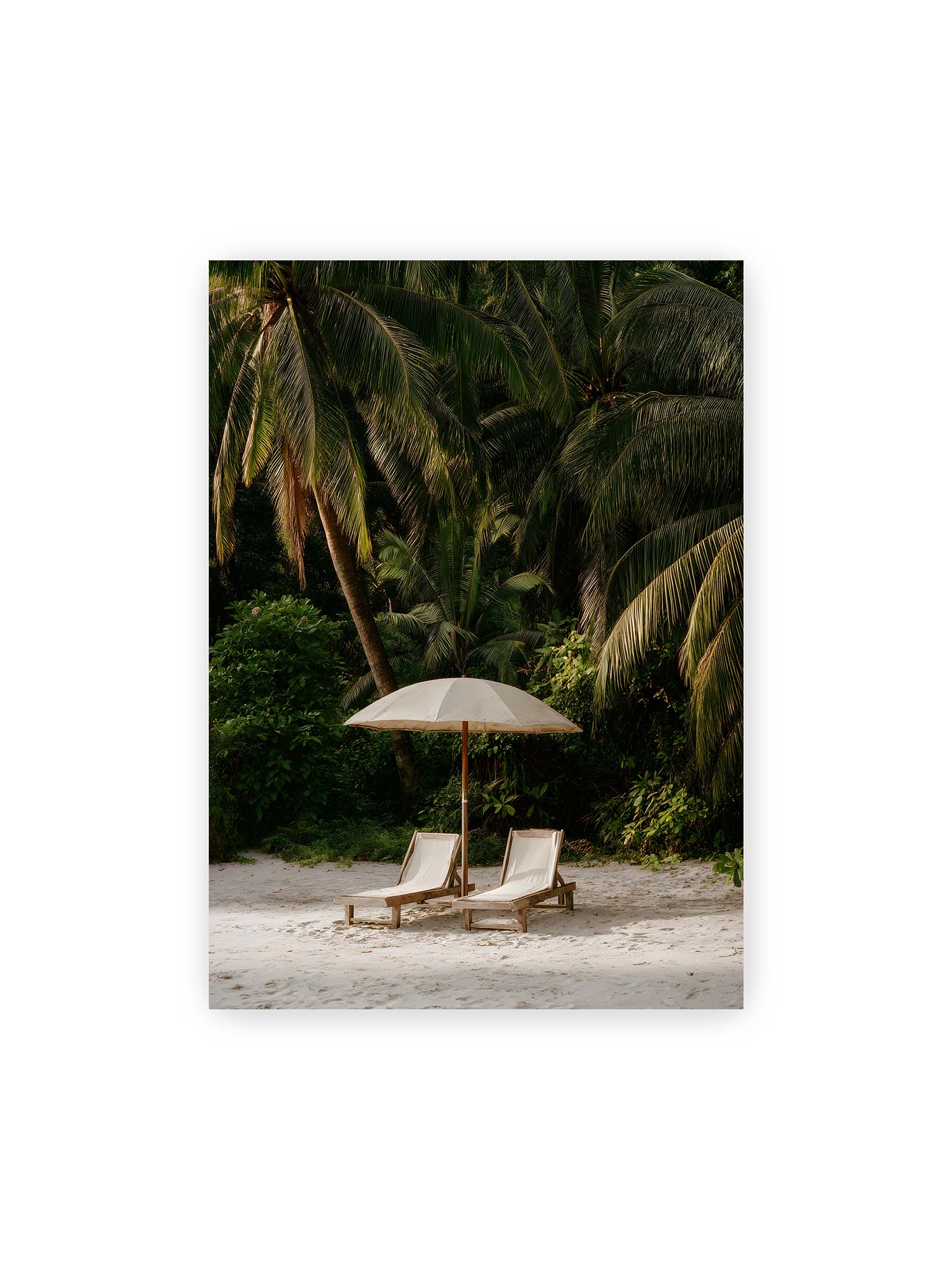50x70 cm – Zwei Liegen unter einem Sonnenschirm am tropischen Strand mit Palmen und weichem Licht im Hintergrund.