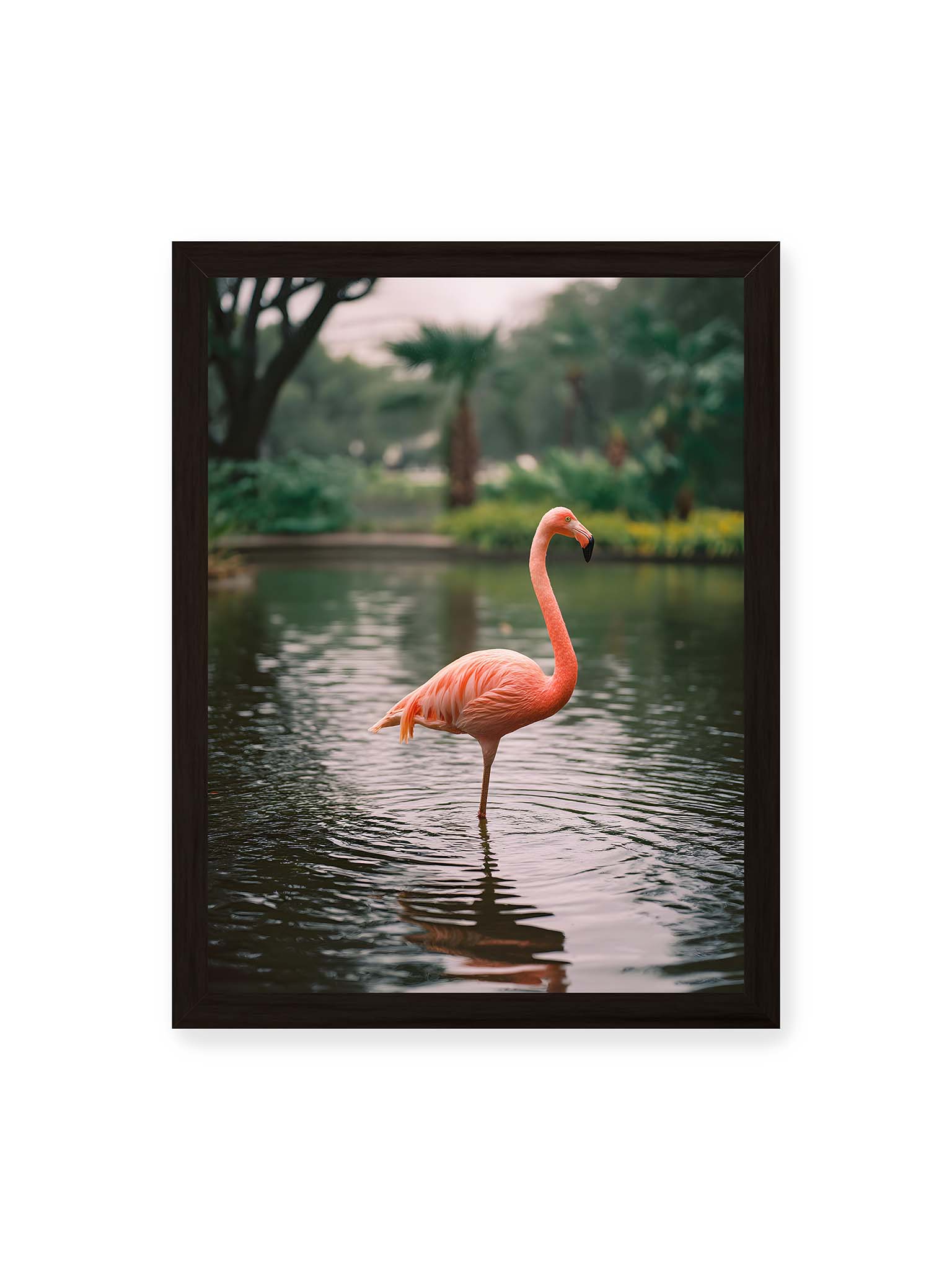30x40 cm, schwarzer Rahmen – Flamingo steht im flachen Wasser mit sanften Wellen und grünem, unscharfem tropischen Hintergrund.