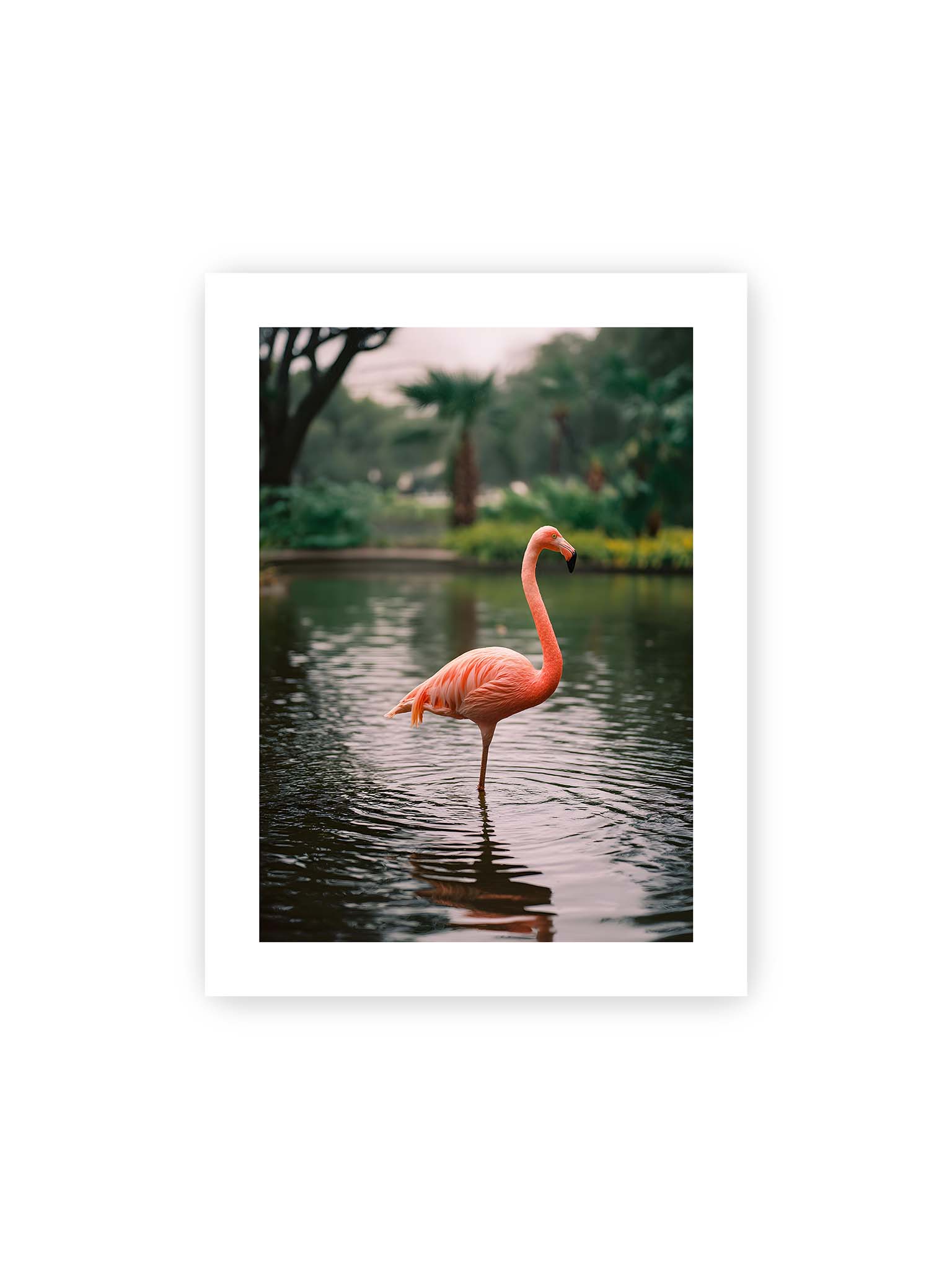 30x40 cm, weißer Galerie-Rand – Flamingo steht im flachen Wasser mit sanften Wellen und grünem, unscharfem tropischen Hintergrund.