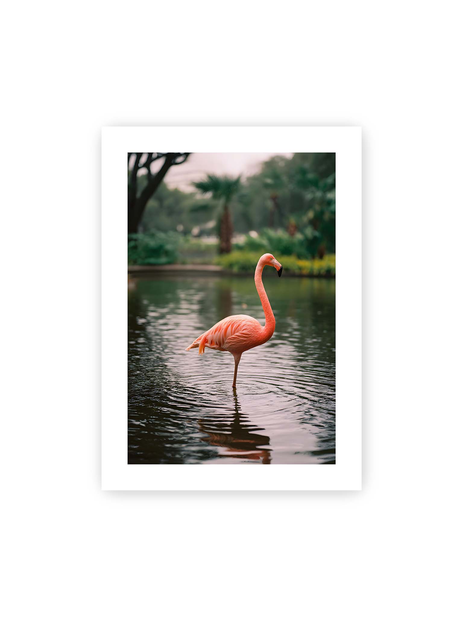 50x70 cm, weißer Galerie-Rand – Flamingo steht im flachen Wasser mit sanften Wellen und grünem, unscharfem tropischen Hintergrund.