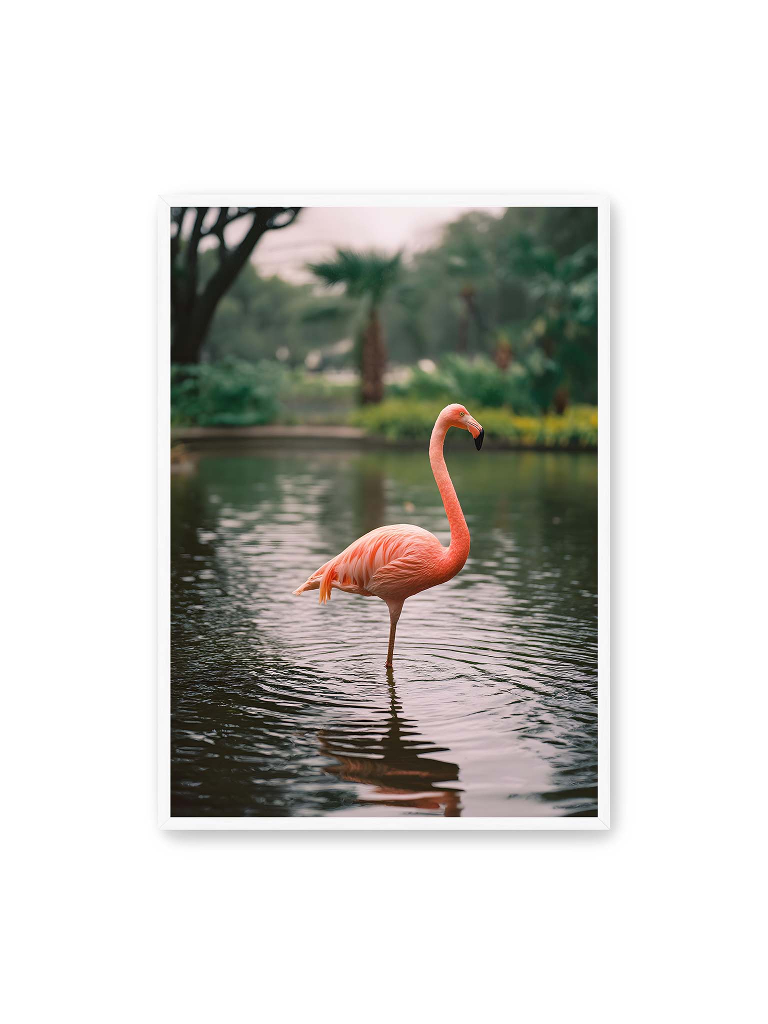 70x100 cm, weißer Rahmen – Flamingo steht im flachen Wasser mit sanften Wellen und grünem, unscharfem tropischen Hintergrund.