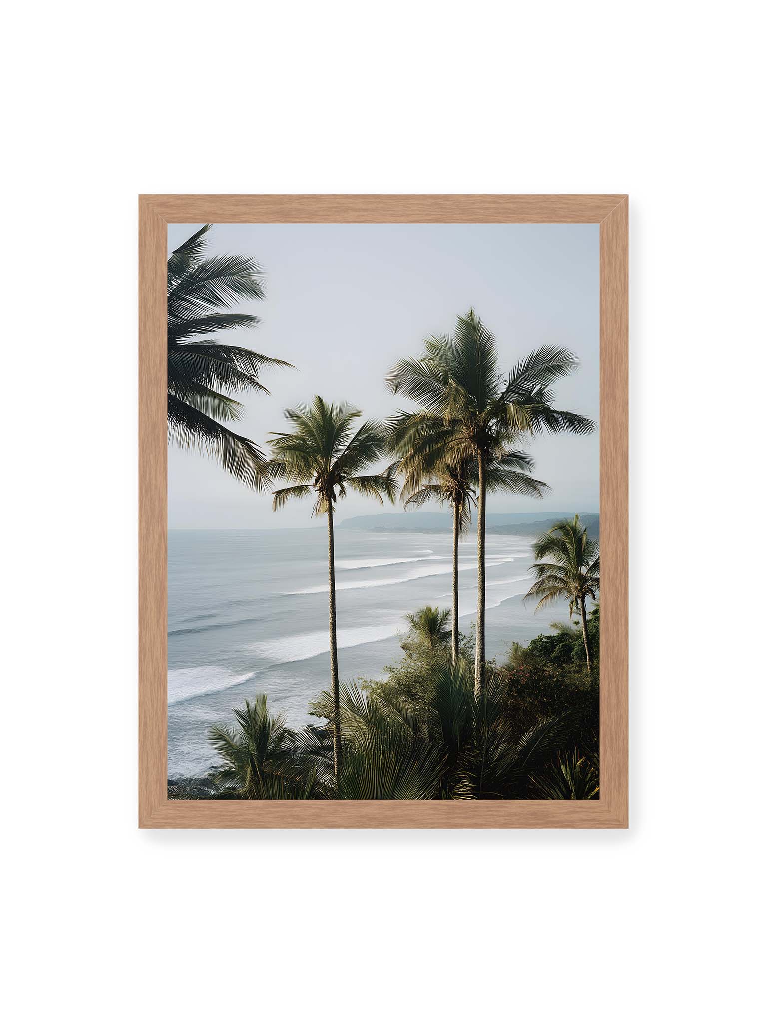 30x40 cm, Eichenrahmen – Hohe Palmen über einer Küstenlandschaft mit sanften Wellen und ruhigem Meer im diffusen Licht.