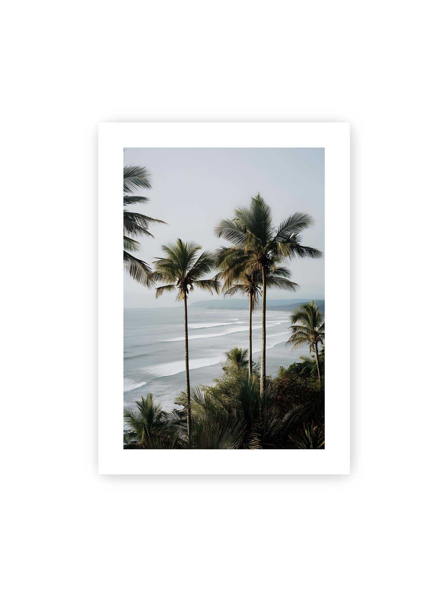 50x70 cm, weißer Galerie-Rand – Hohe Palmen über einer Küstenlandschaft mit sanften Wellen und ruhigem Meer im diffusen Licht.