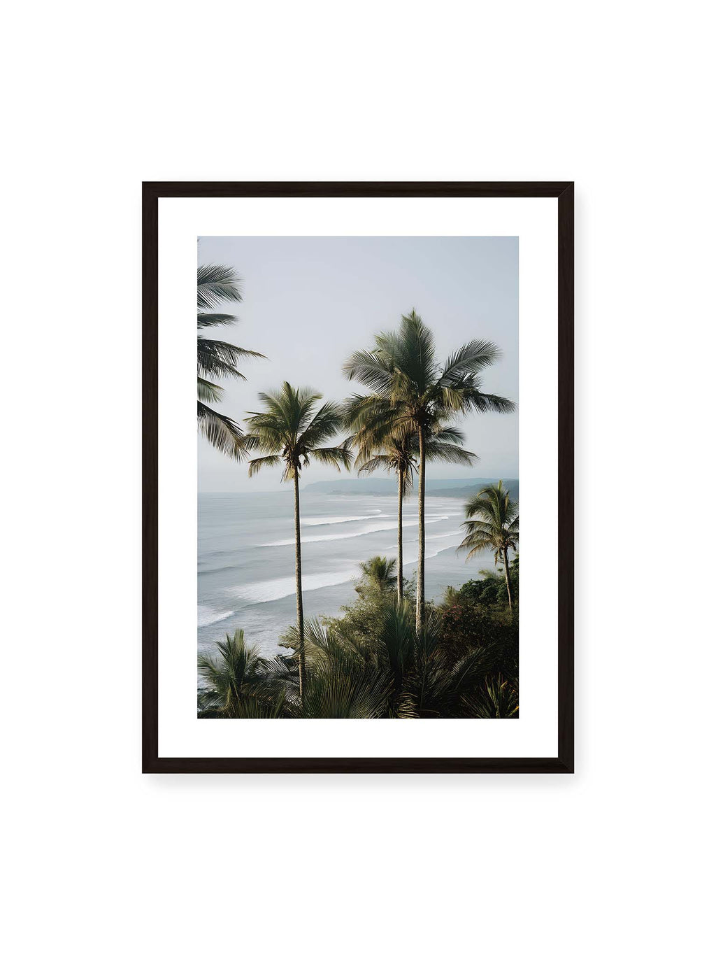 Palm Horizon Rhythm