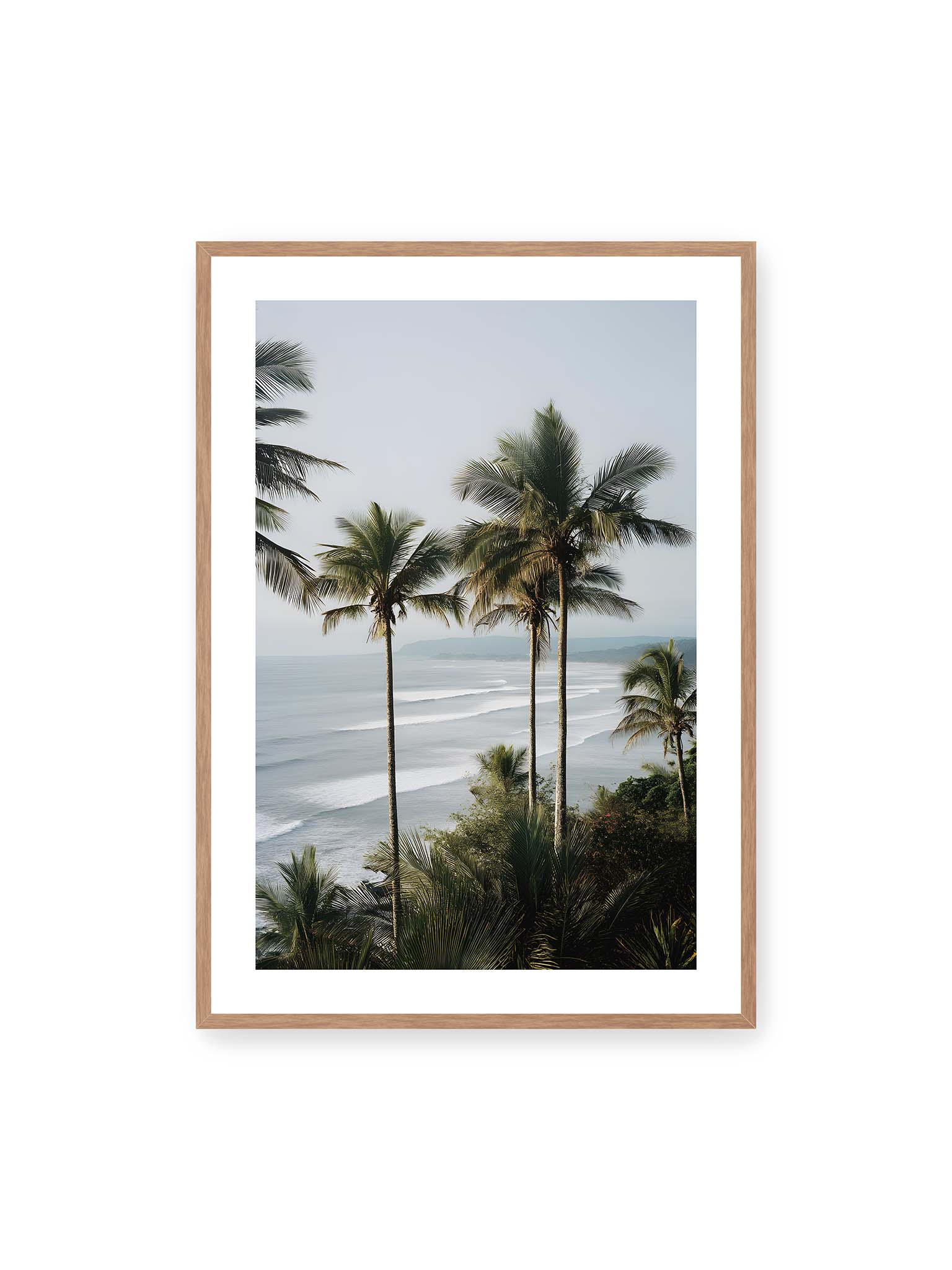 70x100 cm, weißer Galerie-Rand, Eichenrahmen – Hohe Palmen über einer Küstenlandschaft mit sanften Wellen und ruhigem Meer im diffusen Licht.