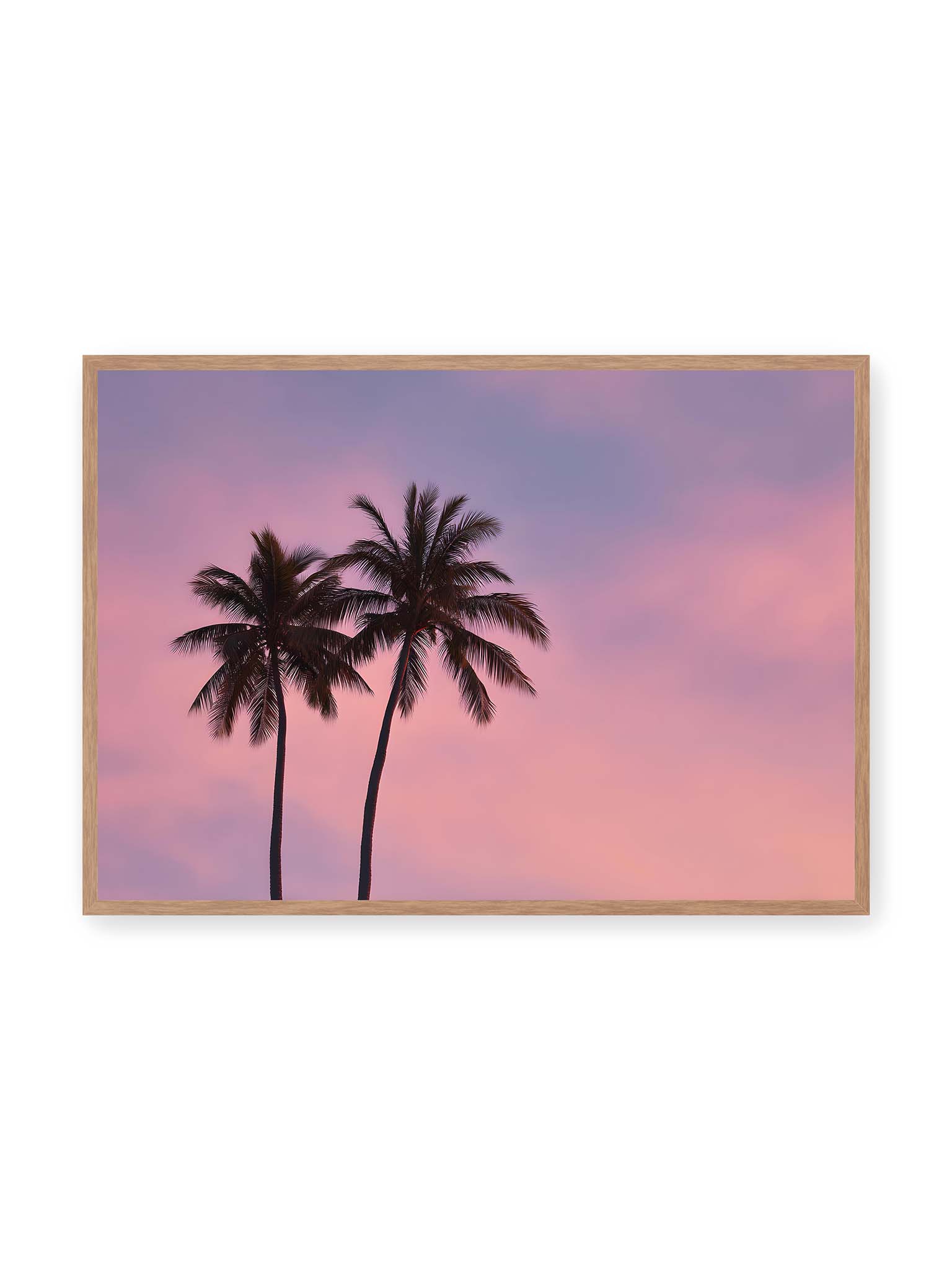 70x100 cm, Eichenrahmen – Zwei Palmen als dunkle Silhouetten vor einem rosafarbenen Himmel mit weichen Farbverläufen bei Sonnenuntergang.