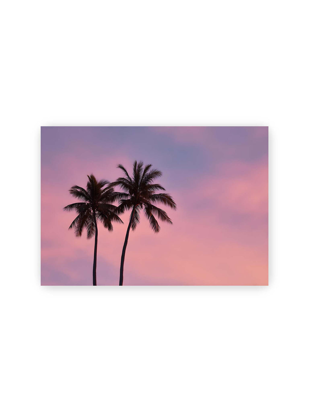 21x30 cm – Zwei Palmen als dunkle Silhouetten vor einem rosafarbenen Himmel mit weichen Farbverläufen bei Sonnenuntergang.
