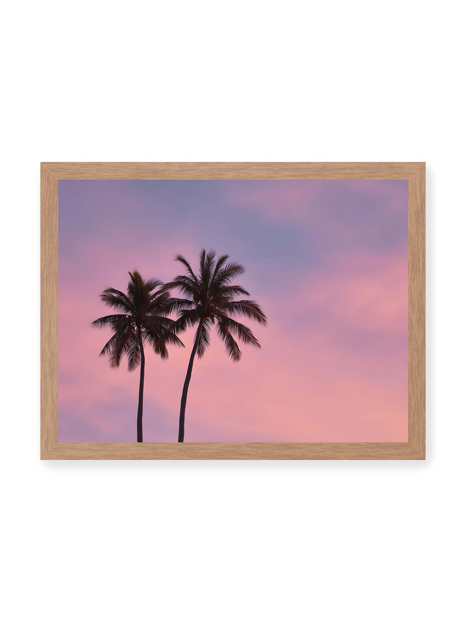 30x40 cm, Eichenrahmen – Zwei Palmen als dunkle Silhouetten vor einem rosafarbenen Himmel mit weichen Farbverläufen bei Sonnenuntergang.