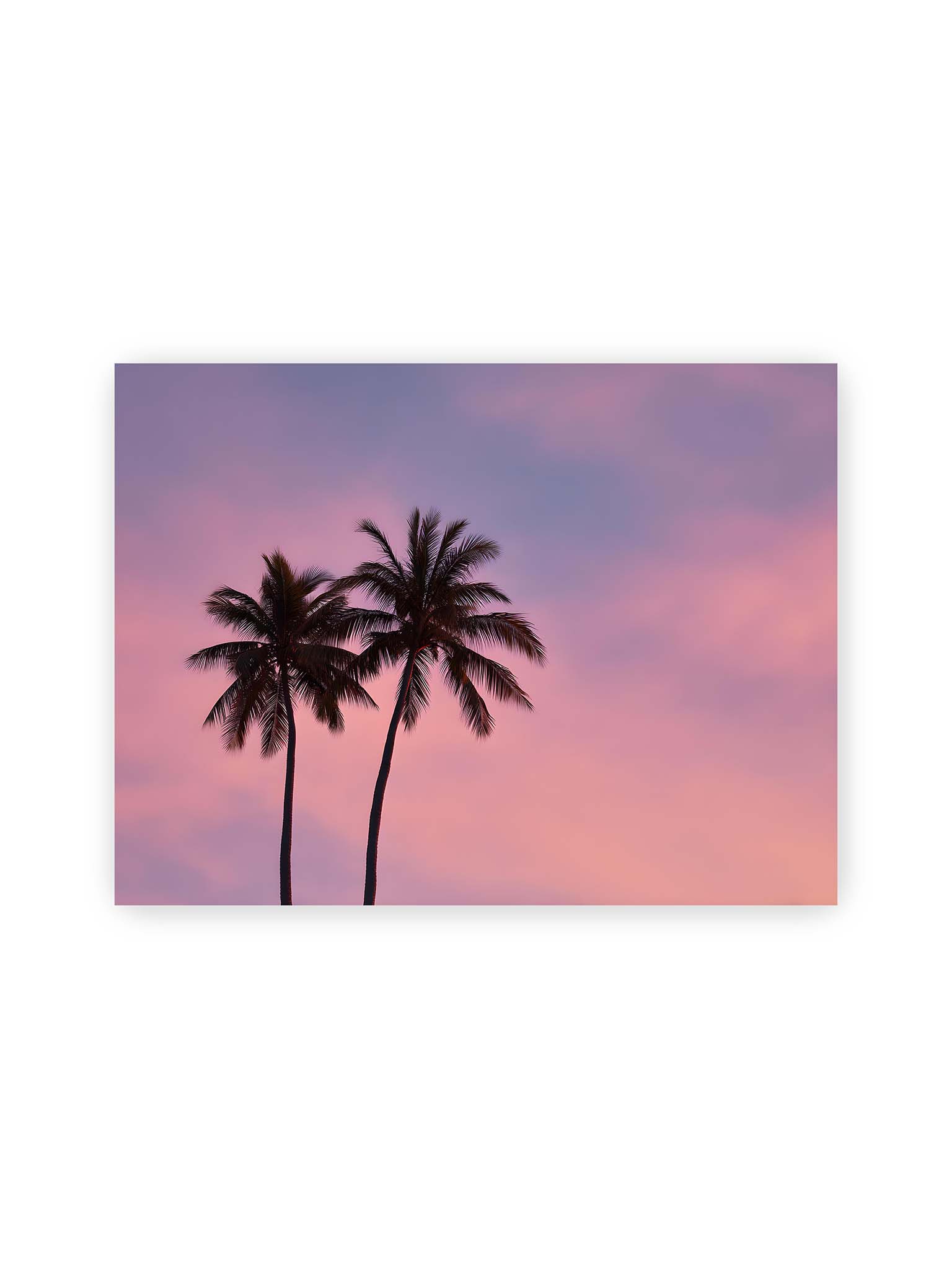 30x40 cm – Zwei Palmen als dunkle Silhouetten vor einem rosafarbenen Himmel mit weichen Farbverläufen bei Sonnenuntergang.
