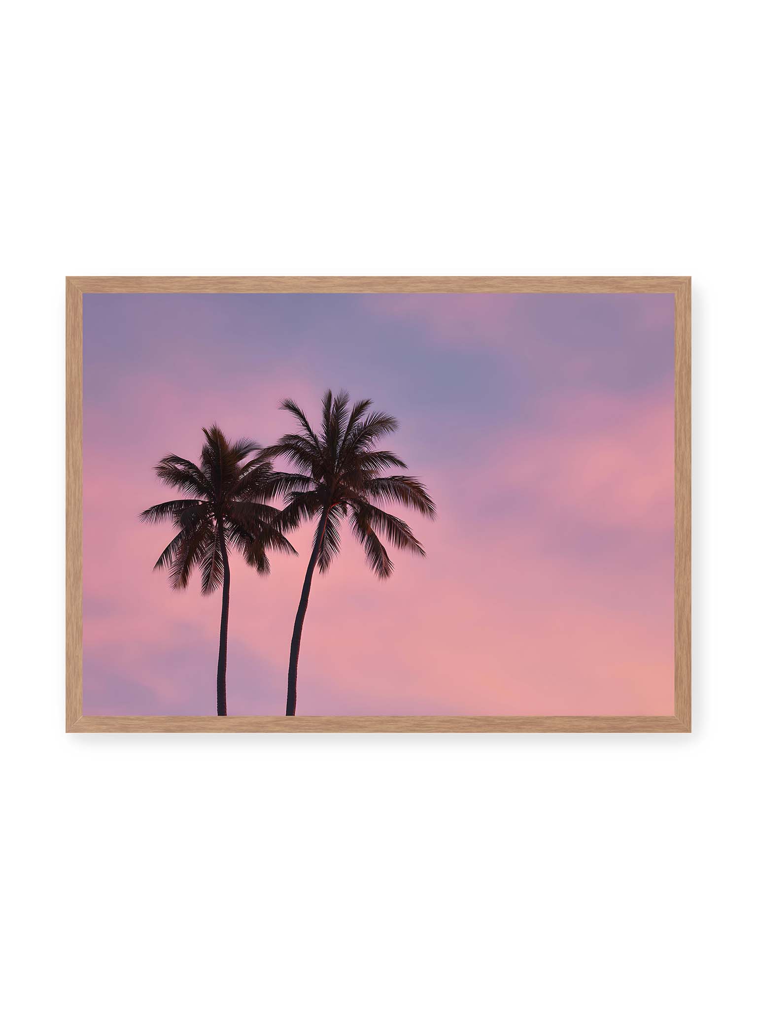 50x70 cm, Eichenrahmen – Zwei Palmen als dunkle Silhouetten vor einem rosafarbenen Himmel mit weichen Farbverläufen bei Sonnenuntergang.