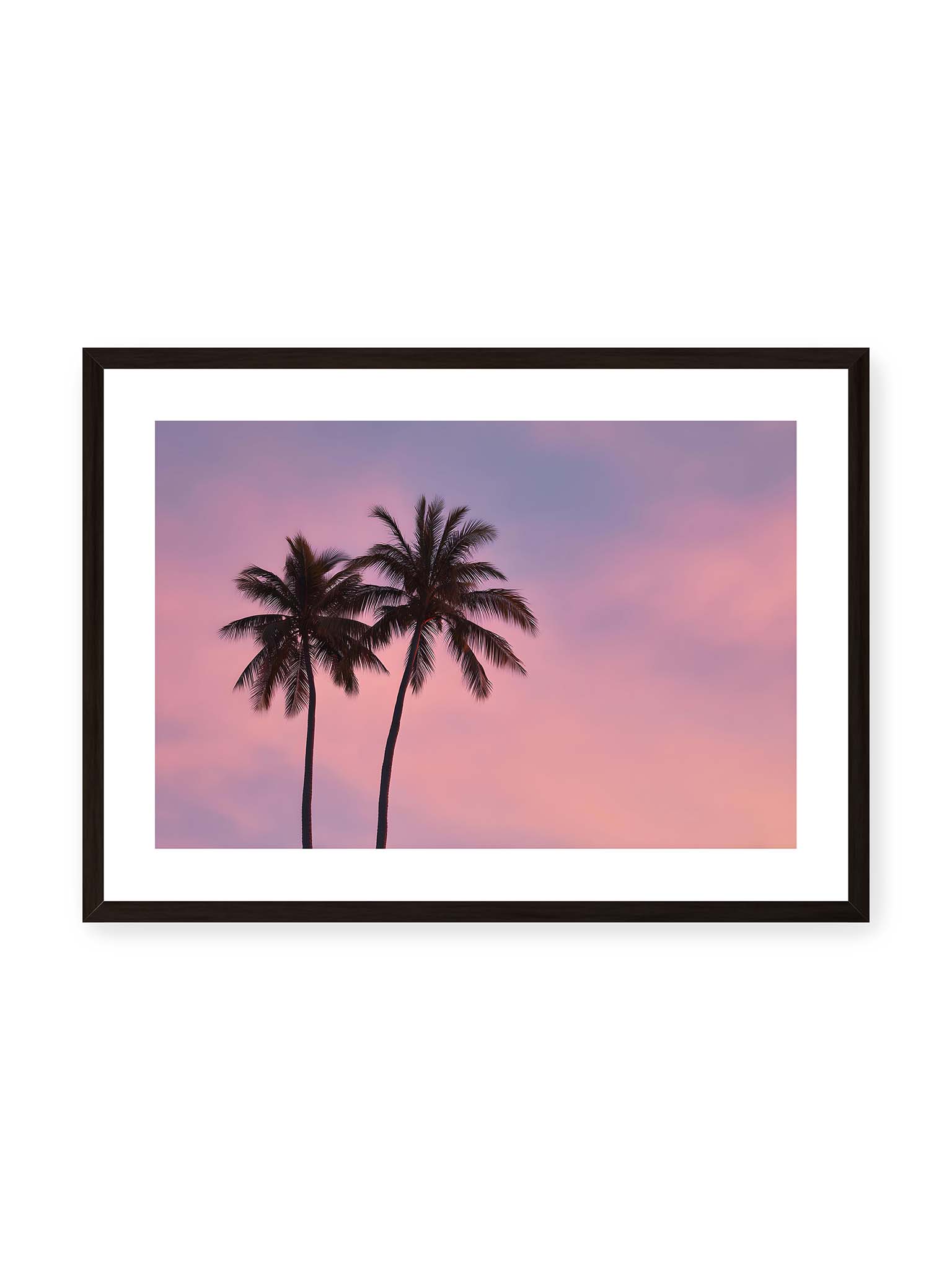 Mauve and Palms