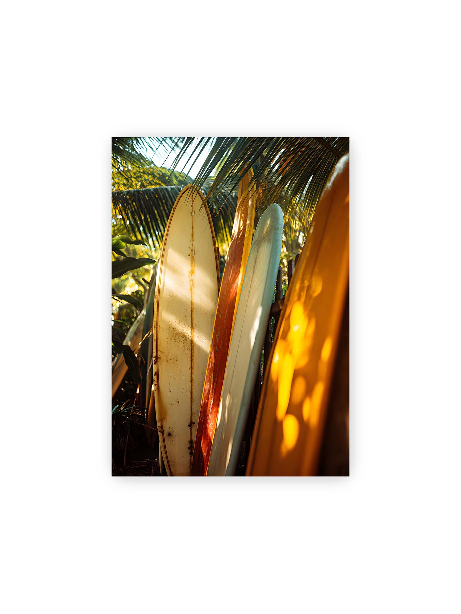 21x30 cm – Mehrere Surfboards lehnen unter Palmen im warmen Licht mit Schatten und natürlichen Farben in tropischer Umgebung.