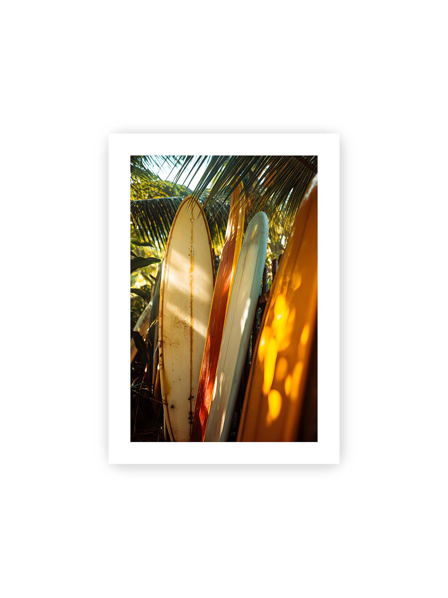 21x30 cm, weißer Galerie-Rand – Mehrere Surfboards lehnen unter Palmen im warmen Licht mit Schatten und natürlichen Farben in tropischer Umgebung.