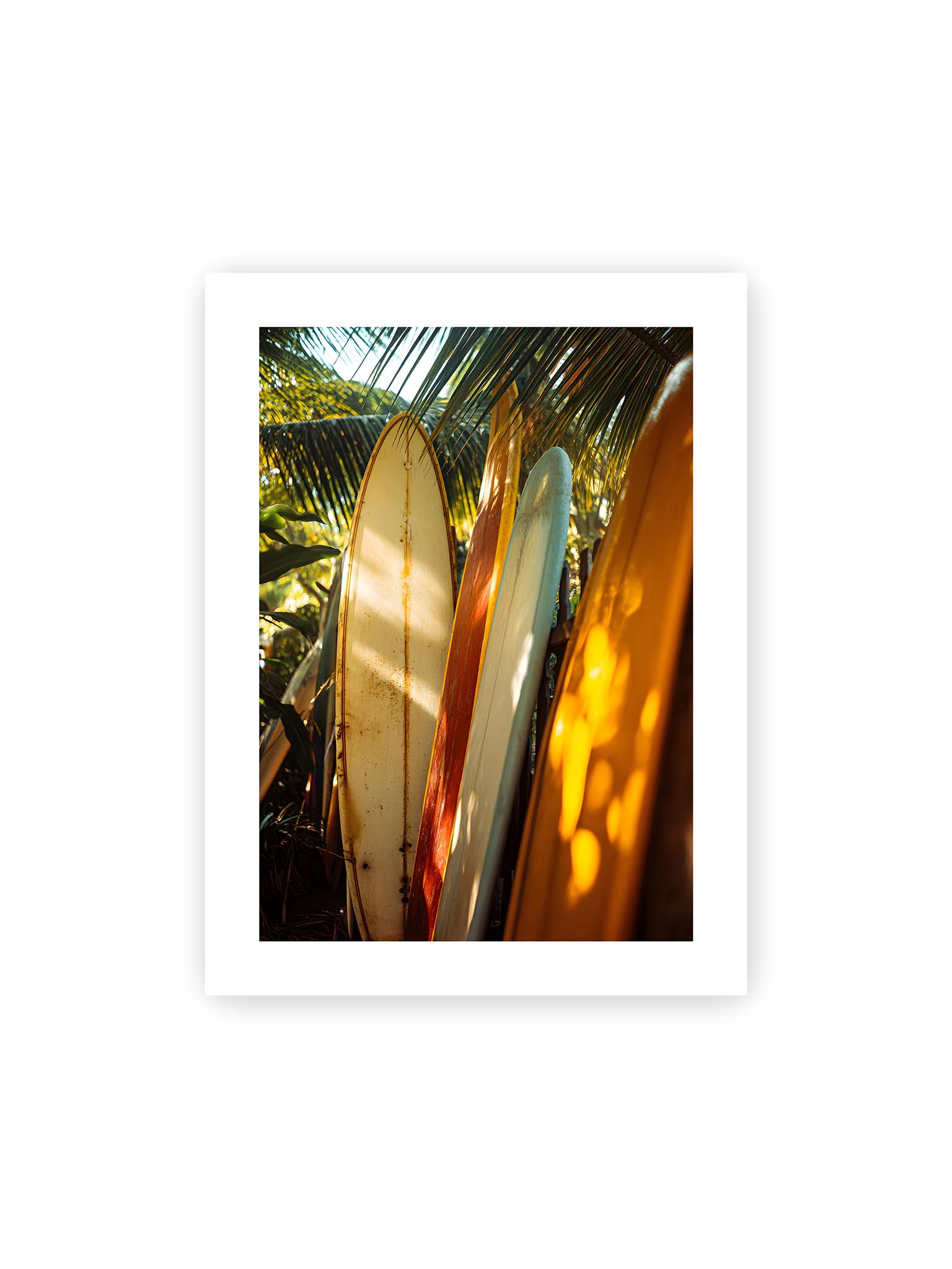 30x40 cm, weißer Galerie-Rand – Mehrere Surfboards lehnen unter Palmen im warmen Licht mit Schatten und natürlichen Farben in tropischer Umgebung.