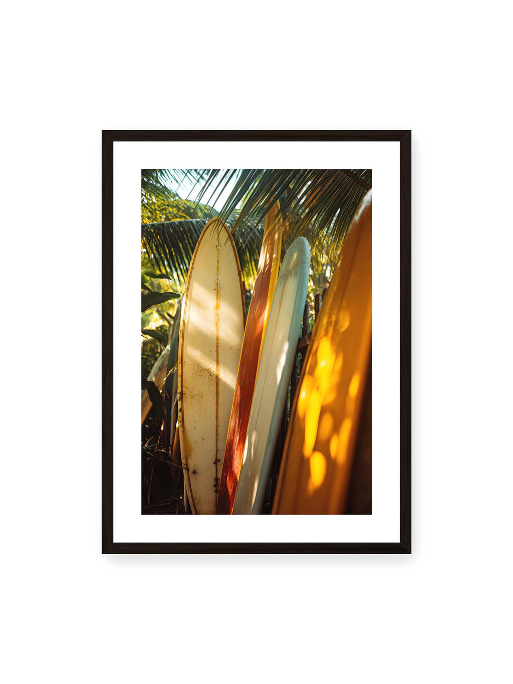 Sunlit Boards