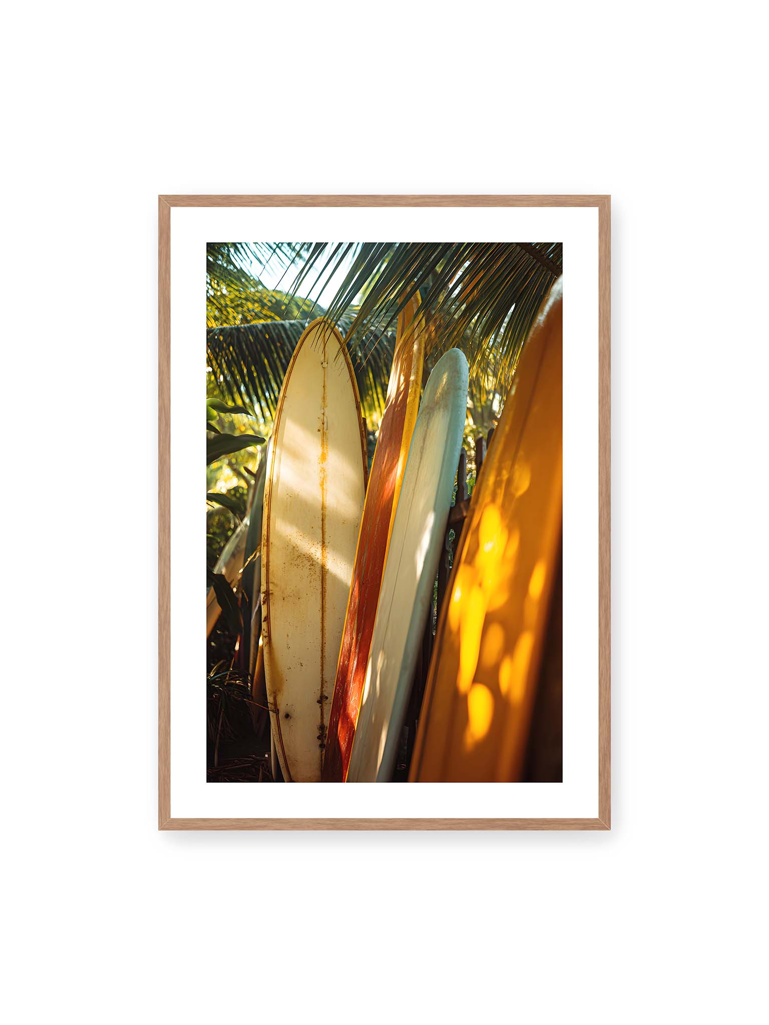 70x100 cm, weißer Galerie-Rand, Eichenrahmen – Mehrere Surfboards lehnen unter Palmen im warmen Licht mit Schatten und natürlichen Farben in tropischer Umgebung.