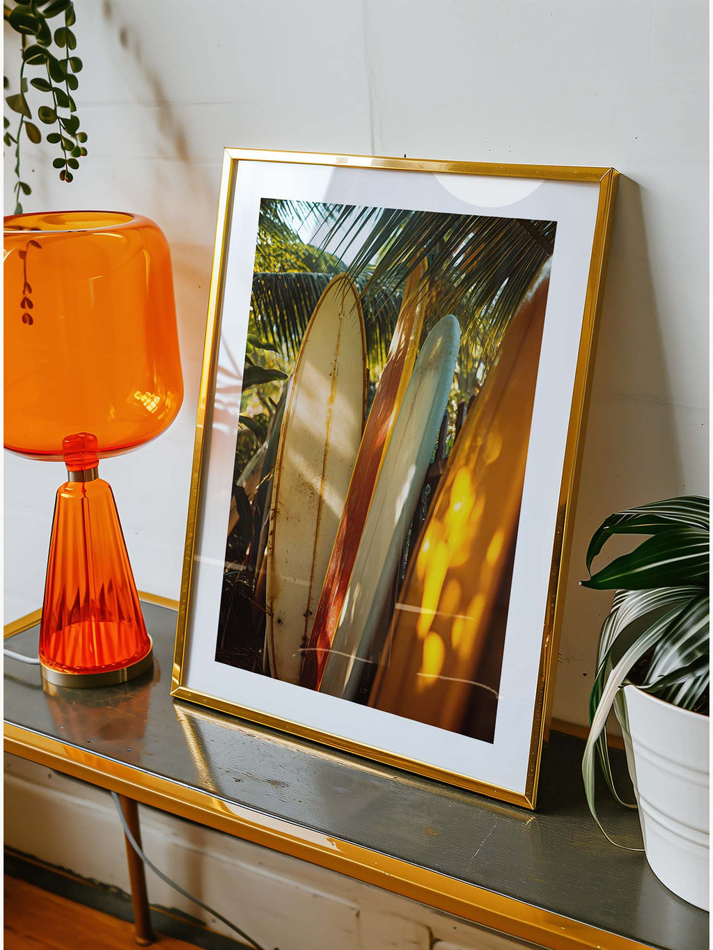 Sunlit Boards