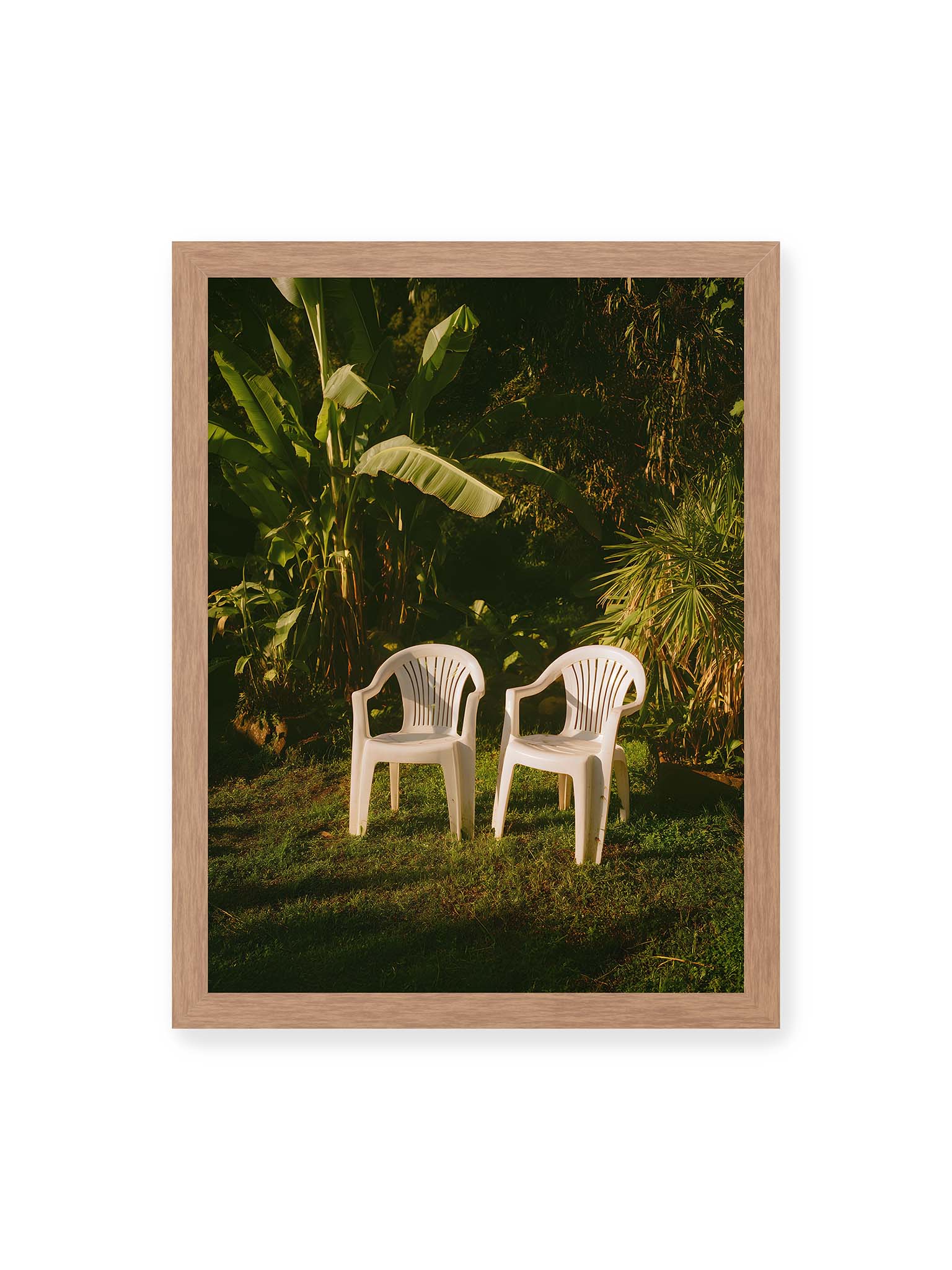 30x40 cm, Eichenrahmen – Zwei weiße Kunststoffstühle im tropischen Garten mit dichtem Grün und warmem Licht im Schattenbereich.