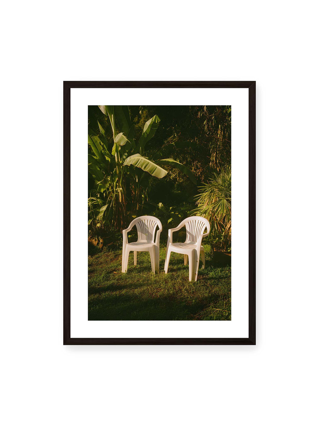 Tropical Pause