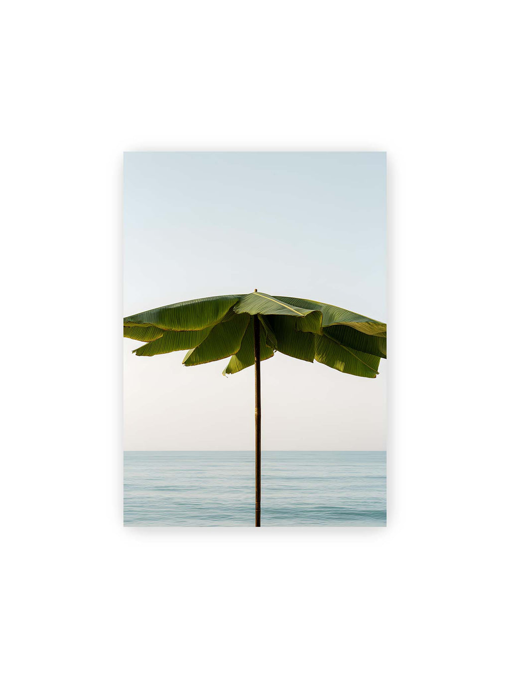 21x30 cm – Sonnenschirm aus großen grünen tropischen Blättern vor ruhigem Meer mit klarer Horizontlinie und hellem Himmel.