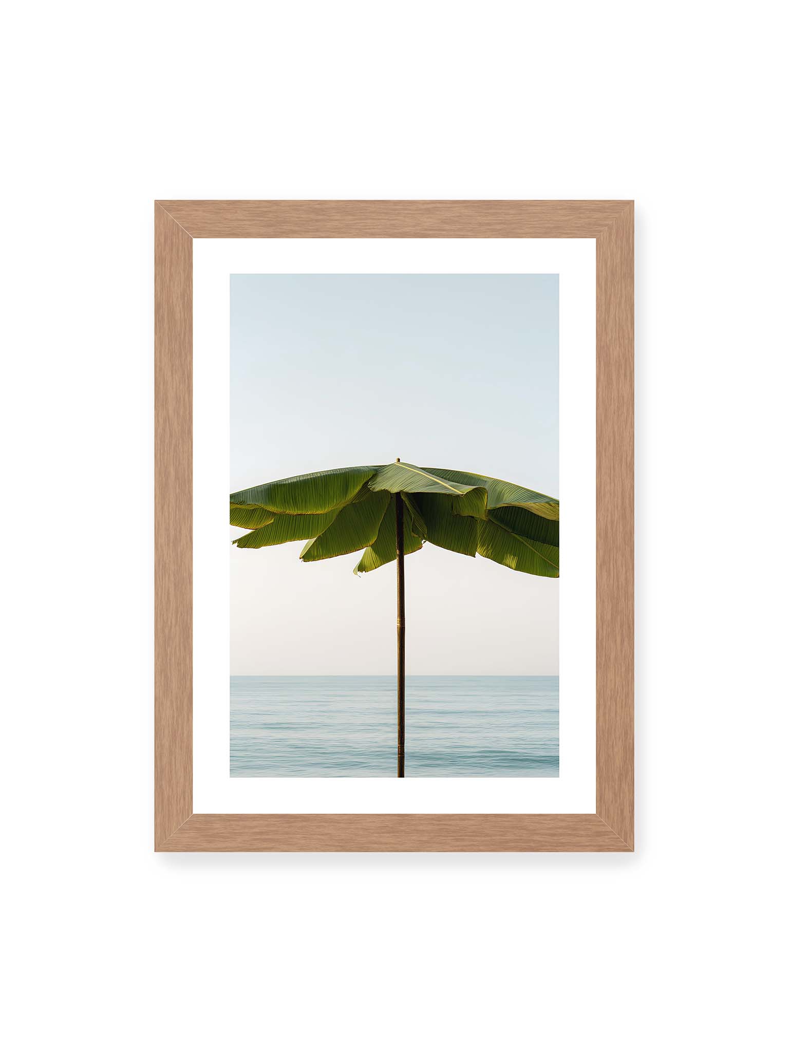 21x30 cm, weißer Galerie-Rand, Eichenrahmen – Sonnenschirm aus großen grünen tropischen Blättern vor ruhigem Meer mit klarer Horizontlinie und hellem Himmel.