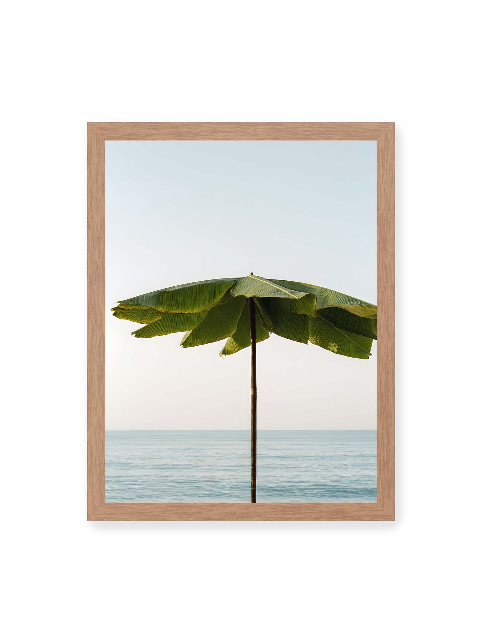 30x40 cm, Eichenrahmen – Sonnenschirm aus großen grünen tropischen Blättern vor ruhigem Meer mit klarer Horizontlinie und hellem Himmel.