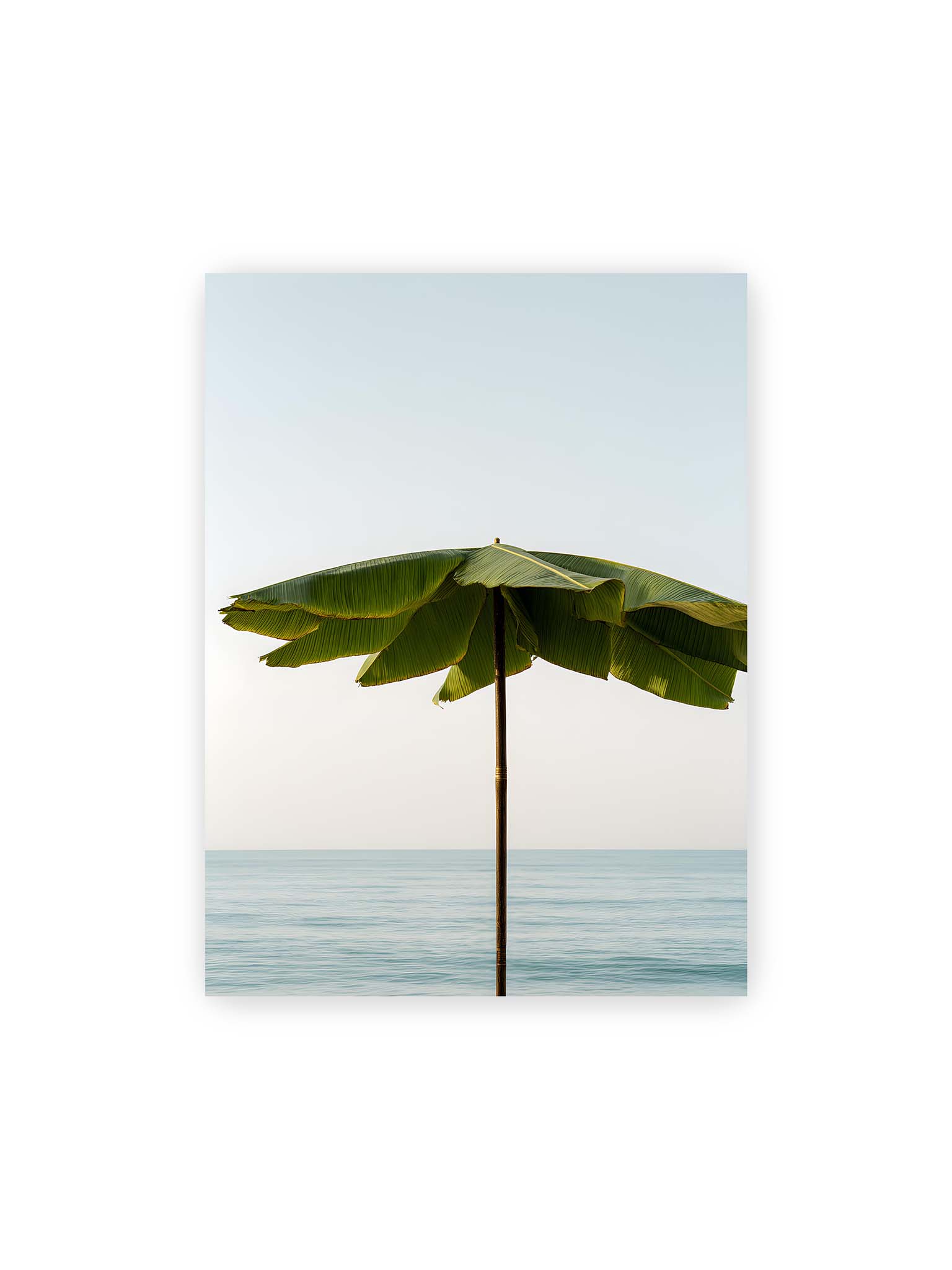 30x40 cm – Sonnenschirm aus großen grünen tropischen Blättern vor ruhigem Meer mit klarer Horizontlinie und hellem Himmel.