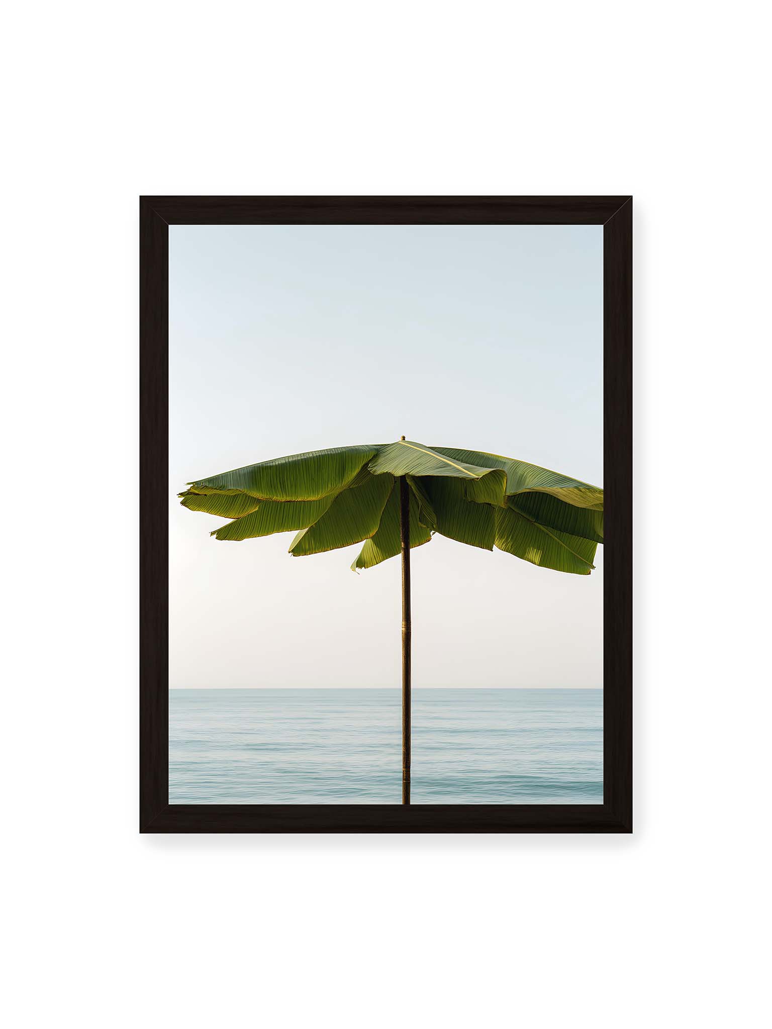 30x40 cm, schwarzer Rahmen – Sonnenschirm aus großen grünen tropischen Blättern vor ruhigem Meer mit klarer Horizontlinie und hellem Himmel.