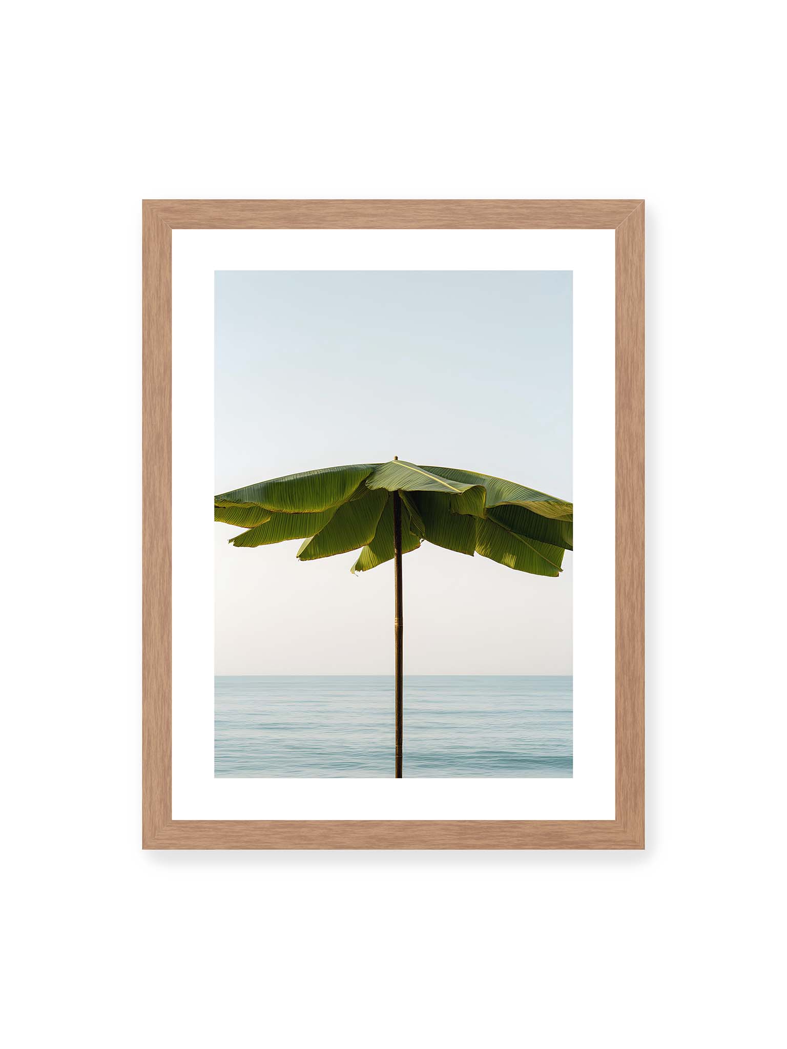 30x40 cm, weißer Galerie-Rand, Eichenrahmen – Sonnenschirm aus großen grünen tropischen Blättern vor ruhigem Meer mit klarer Horizontlinie und hellem Himmel.