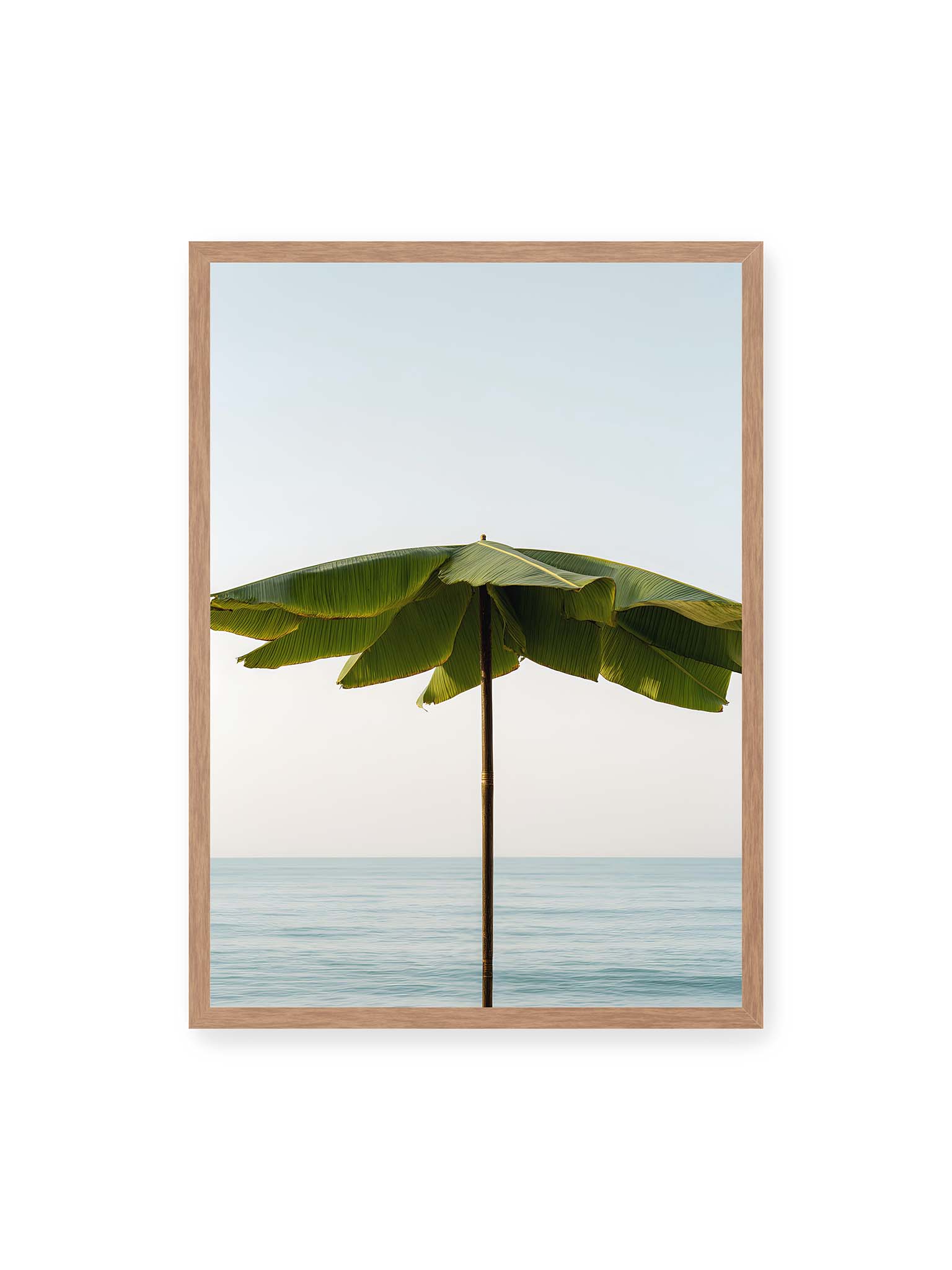 50x70 cm, Eichenrahmen – Sonnenschirm aus großen grünen tropischen Blättern vor ruhigem Meer mit klarer Horizontlinie und hellem Himmel.