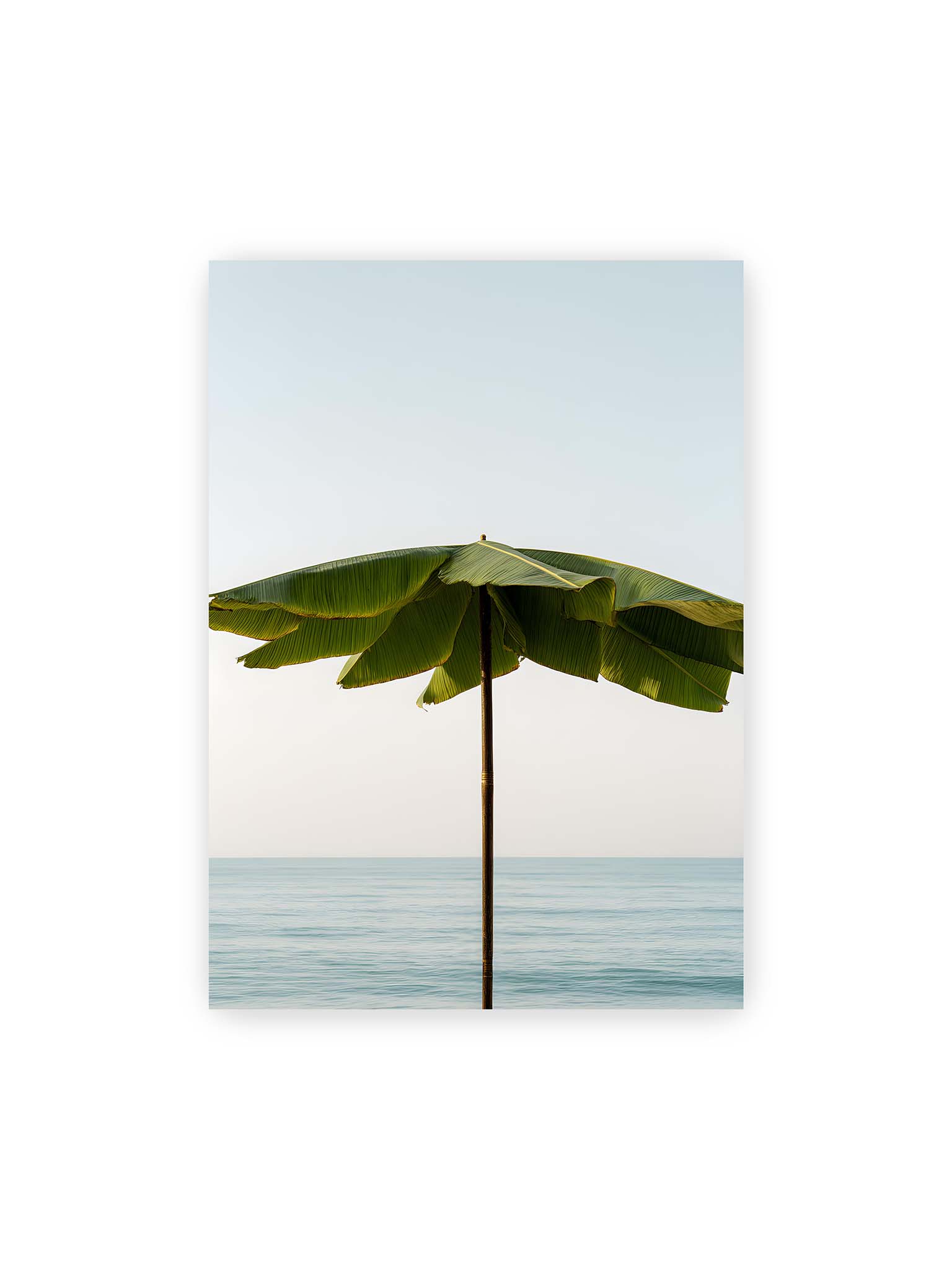 50x70 cm – Sonnenschirm aus großen grünen tropischen Blättern vor ruhigem Meer mit klarer Horizontlinie und hellem Himmel.