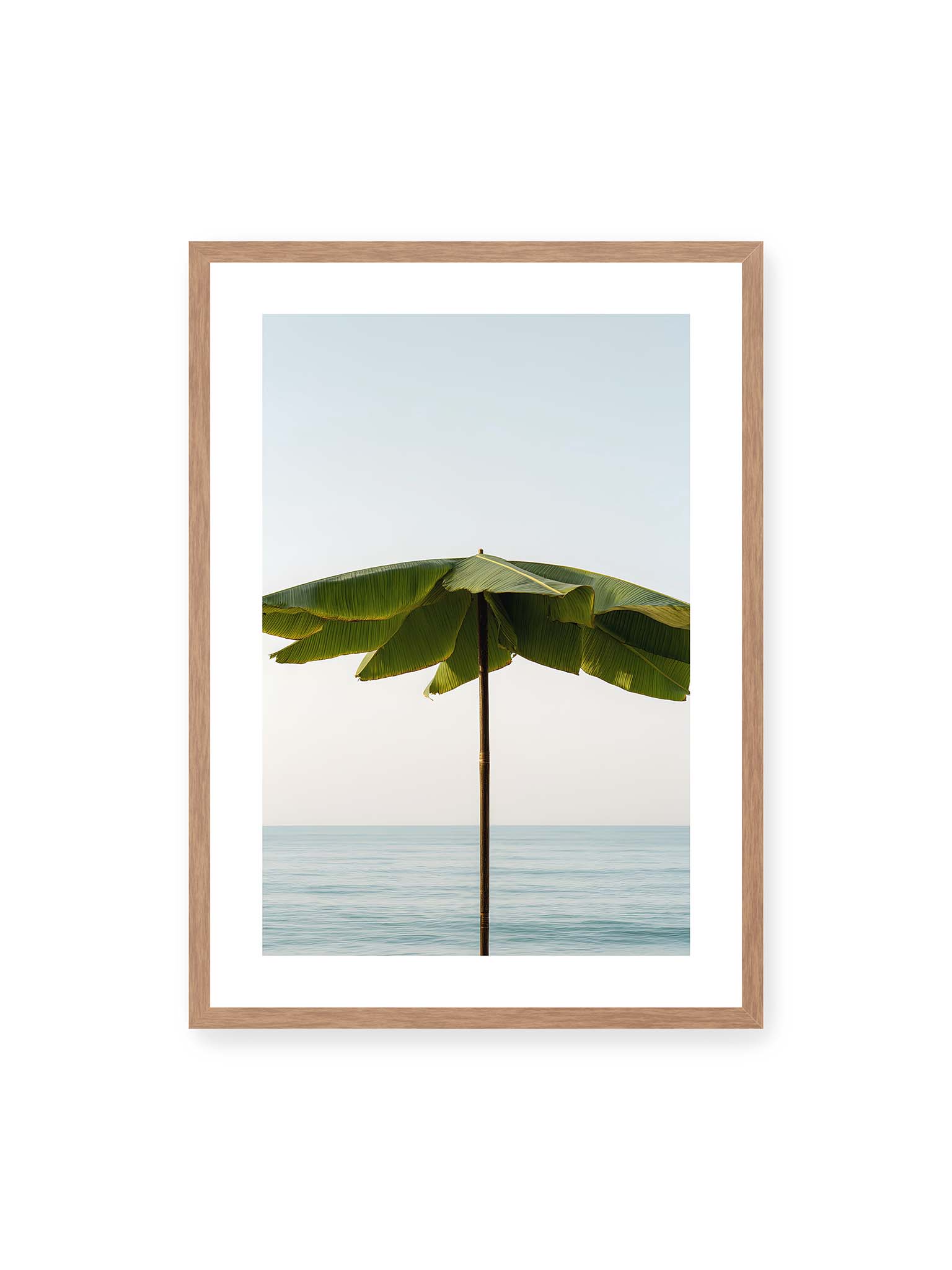 50x70 cm, weißer Galerie-Rand, Eichenrahmen – Sonnenschirm aus großen grünen tropischen Blättern vor ruhigem Meer mit klarer Horizontlinie und hellem Himmel.
