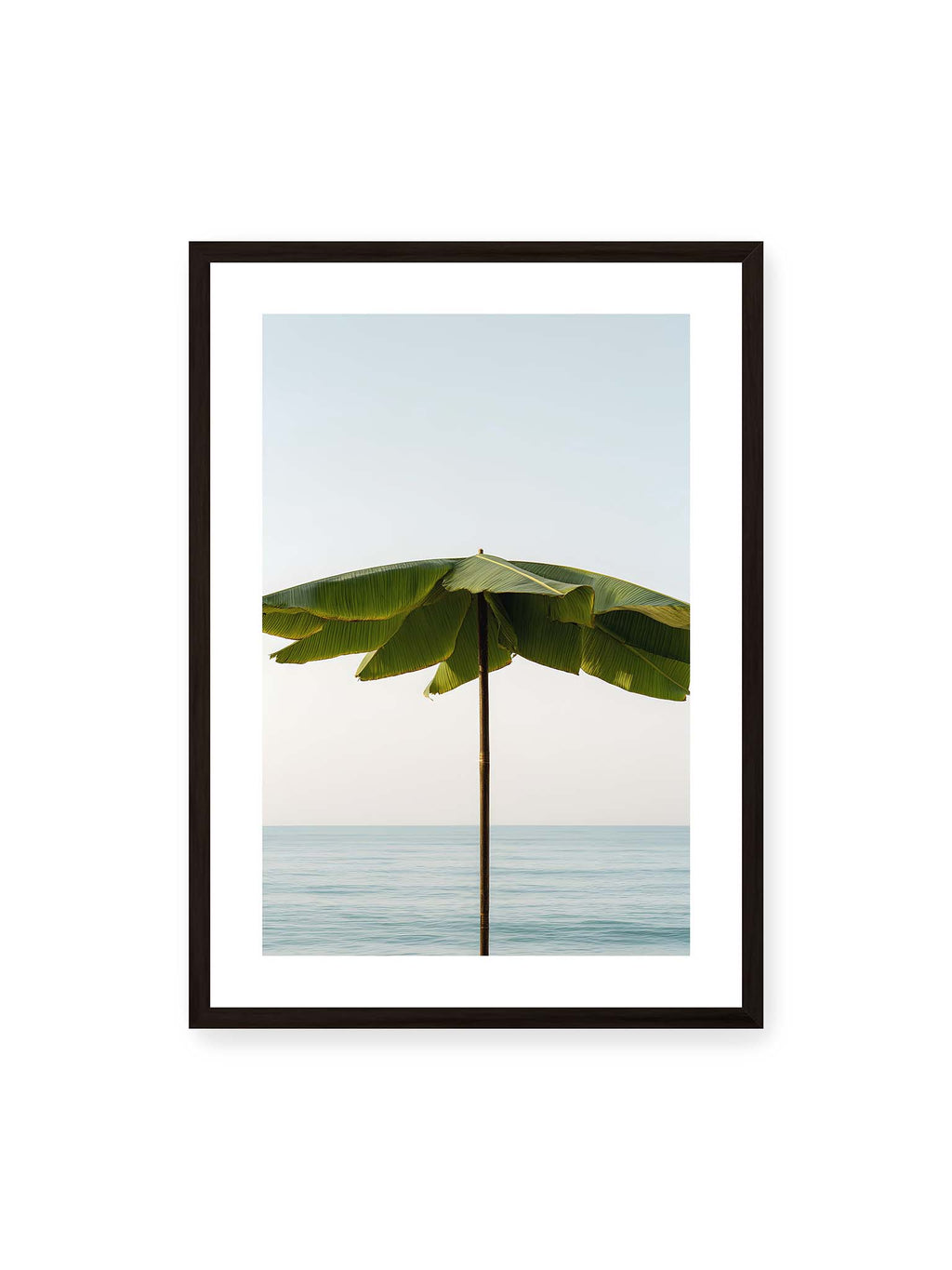 Palm Shade Horizon