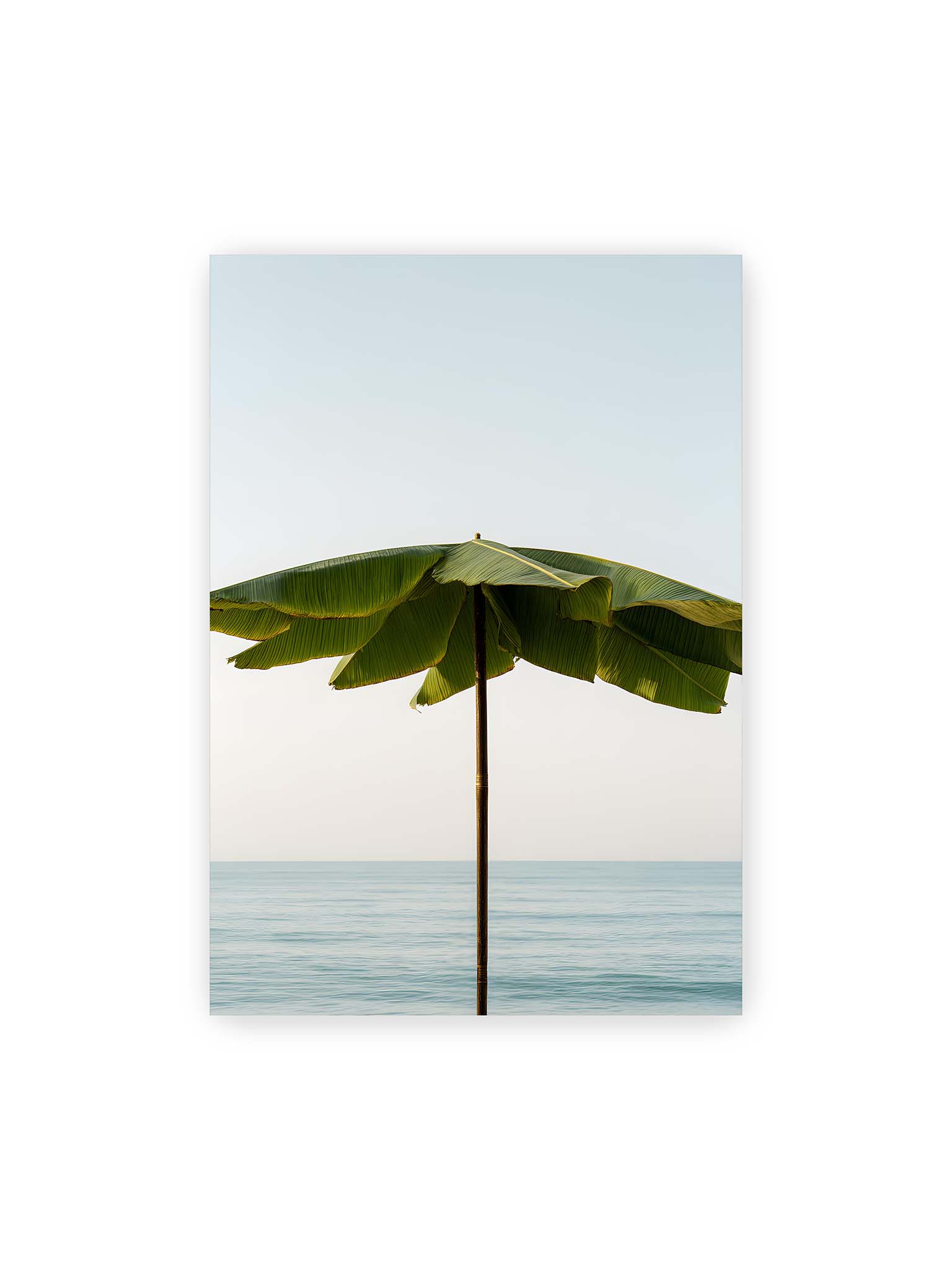 70x100 cm – Sonnenschirm aus großen grünen tropischen Blättern vor ruhigem Meer mit klarer Horizontlinie und hellem Himmel.