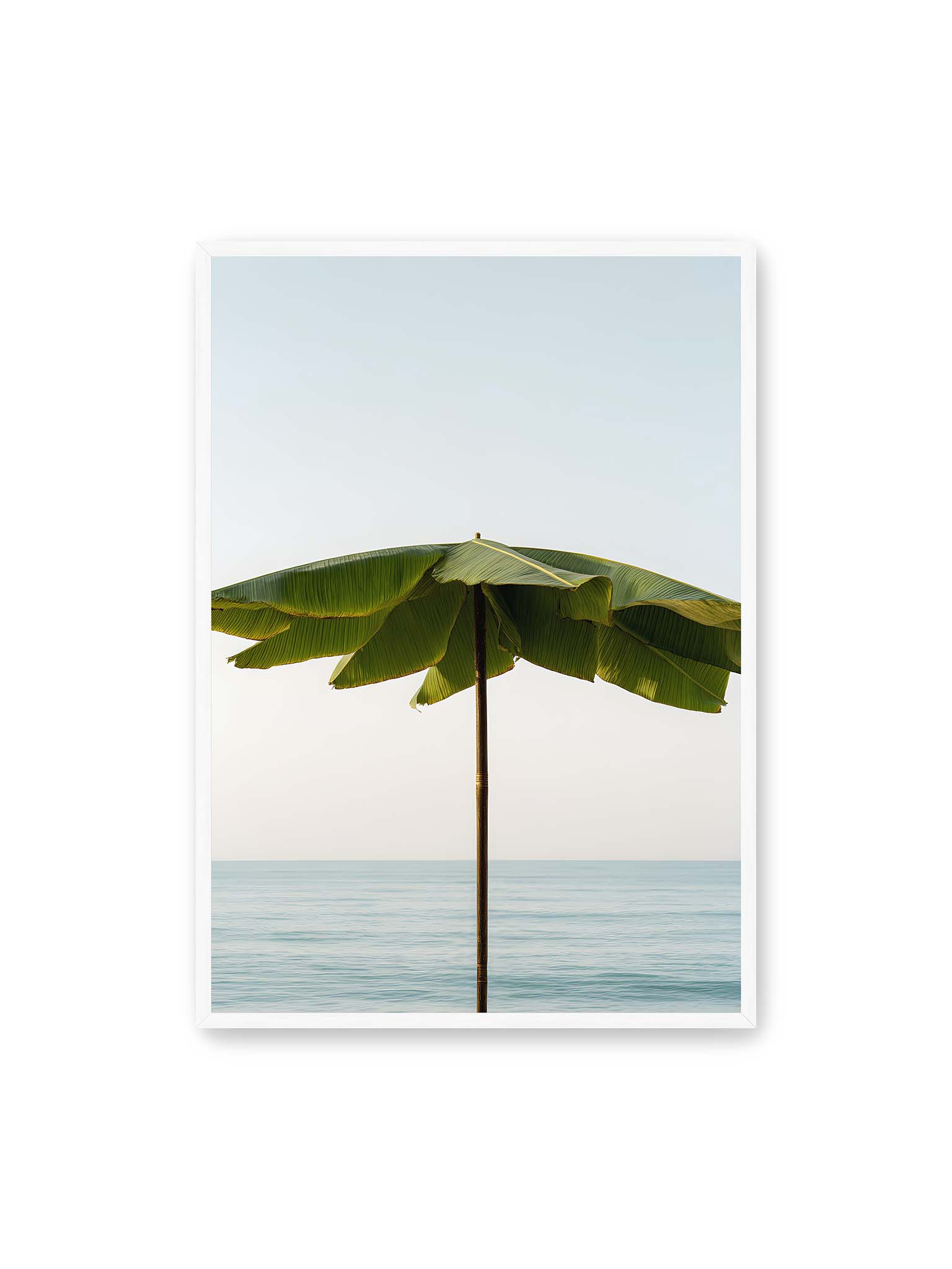 70x100 cm, weißer Rahmen – Sonnenschirm aus großen grünen tropischen Blättern vor ruhigem Meer mit klarer Horizontlinie und hellem Himmel.