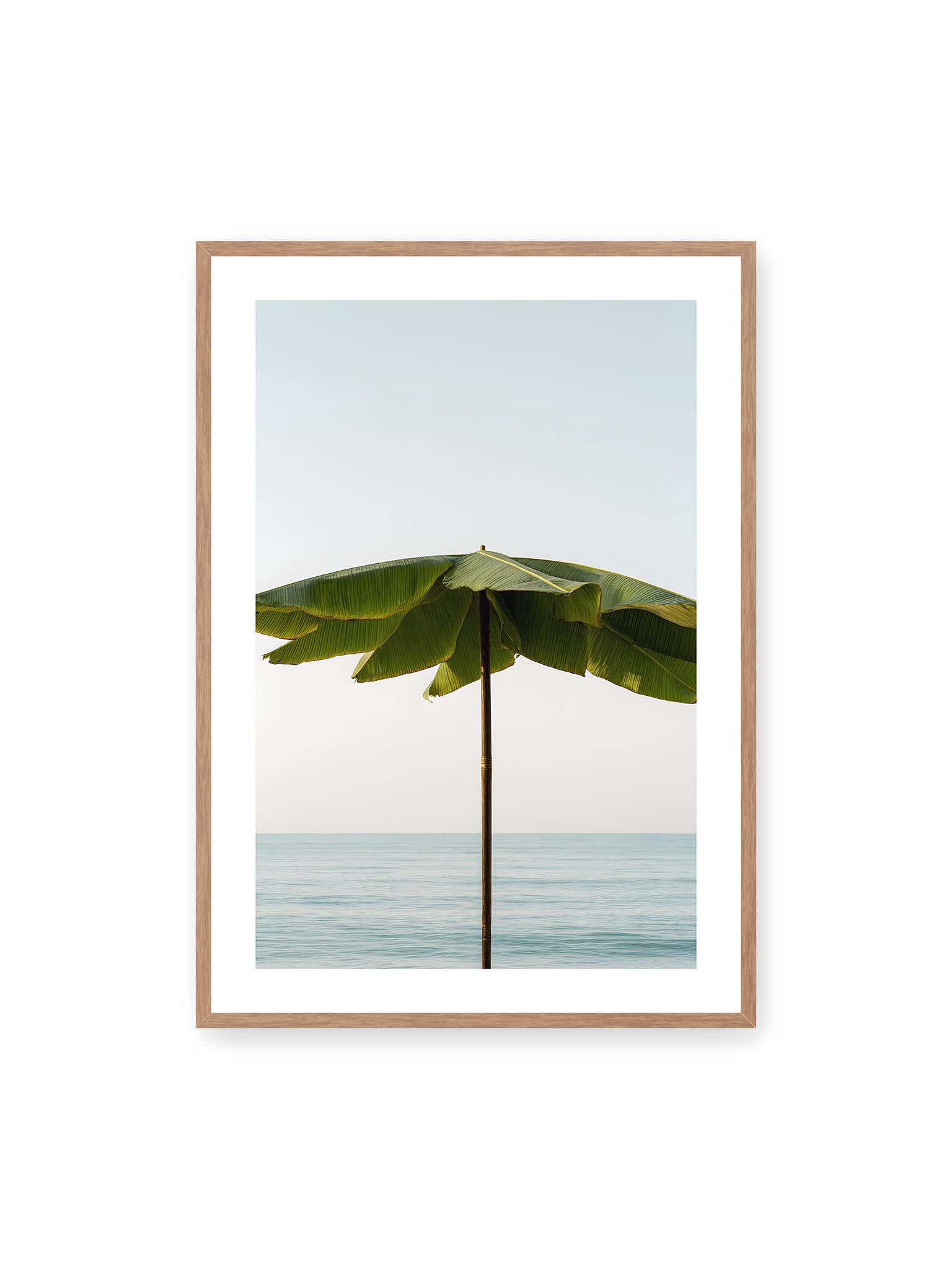 70x100 cm, weißer Galerie-Rand, Eichenrahmen – Sonnenschirm aus großen grünen tropischen Blättern vor ruhigem Meer mit klarer Horizontlinie und hellem Himmel.