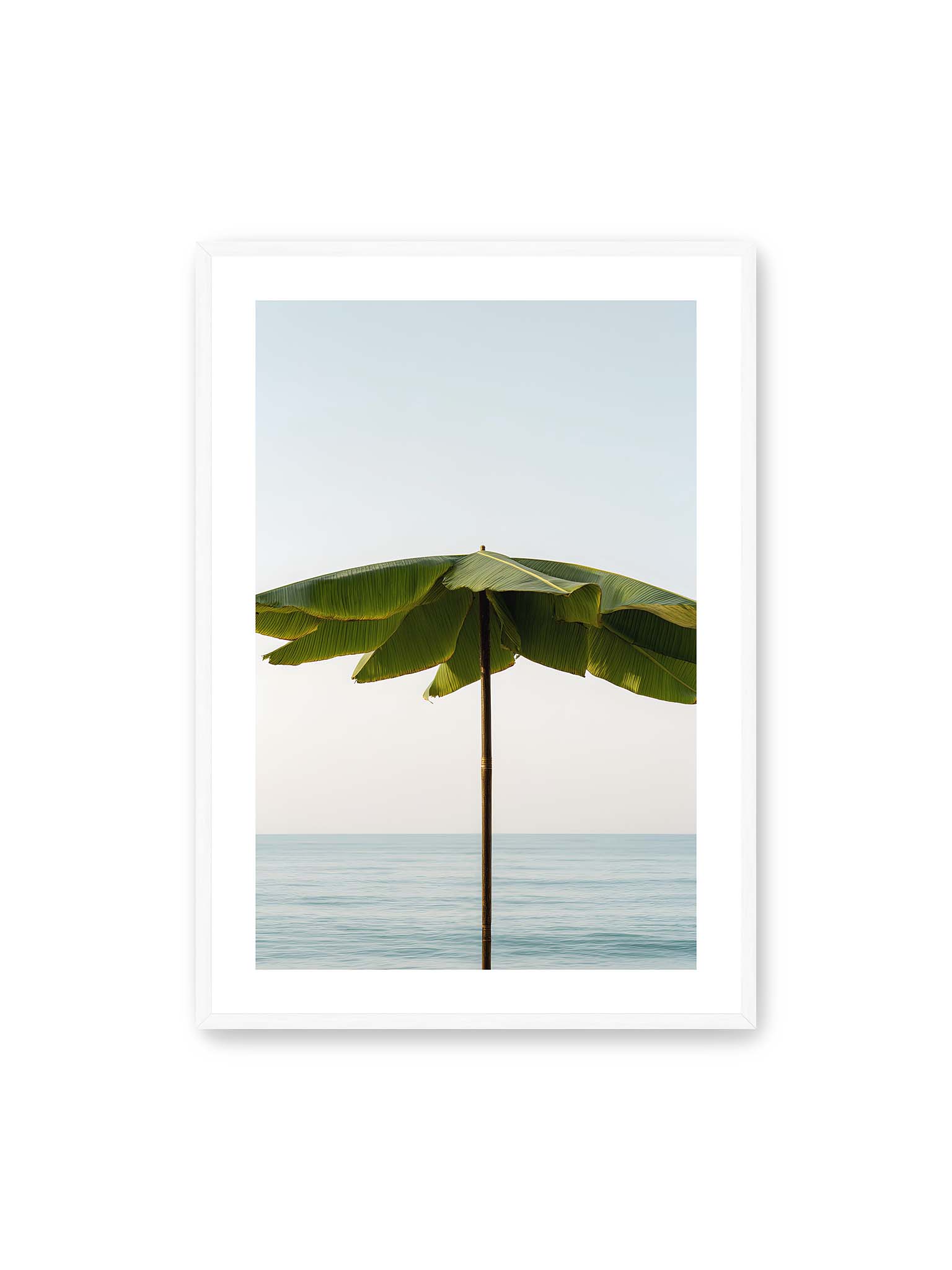 70x100 cm, weißer Galerie-Rand, weißer Rahmen – Sonnenschirm aus großen grünen tropischen Blättern vor ruhigem Meer mit klarer Horizontlinie und hellem Himmel.