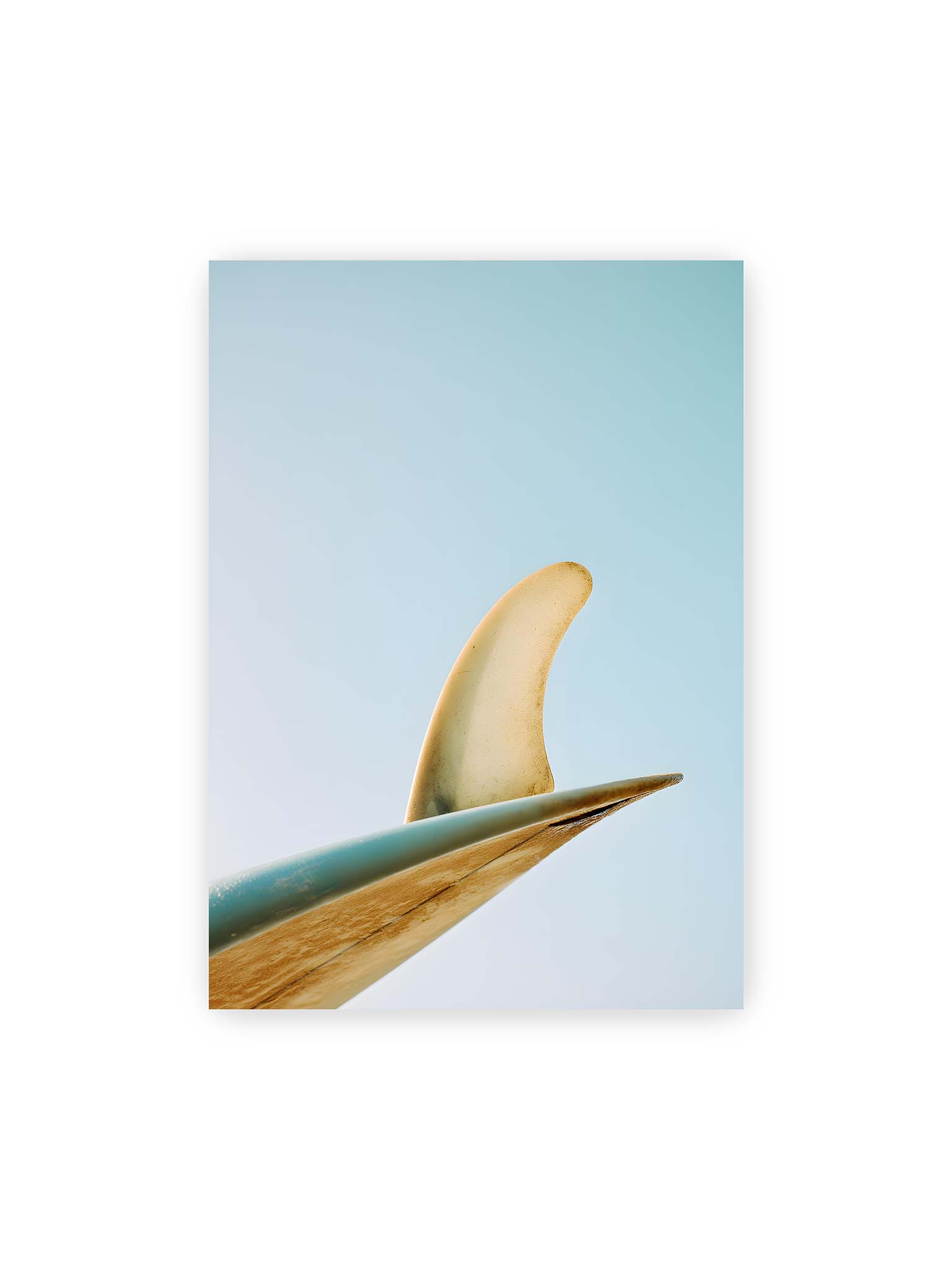 50x70 cm – Surfboard-Finne vor klarem Himmel mit geschwungener Form und minimalistischer Komposition.