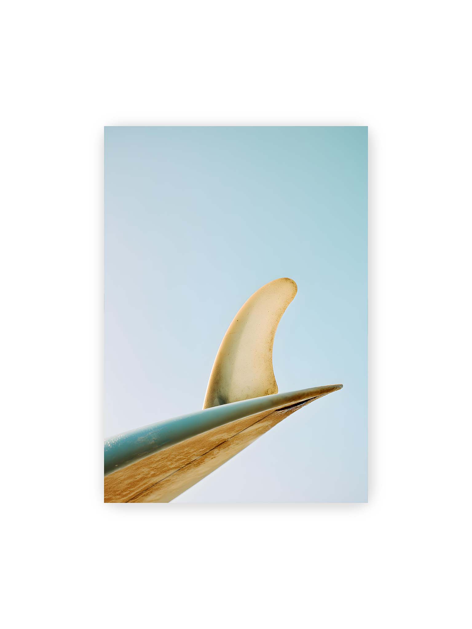 70x100 cm – Surfboard-Finne vor klarem Himmel mit geschwungener Form und minimalistischer Komposition.